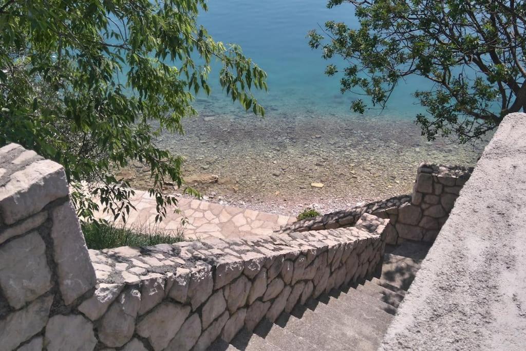 Apartment Lisarica