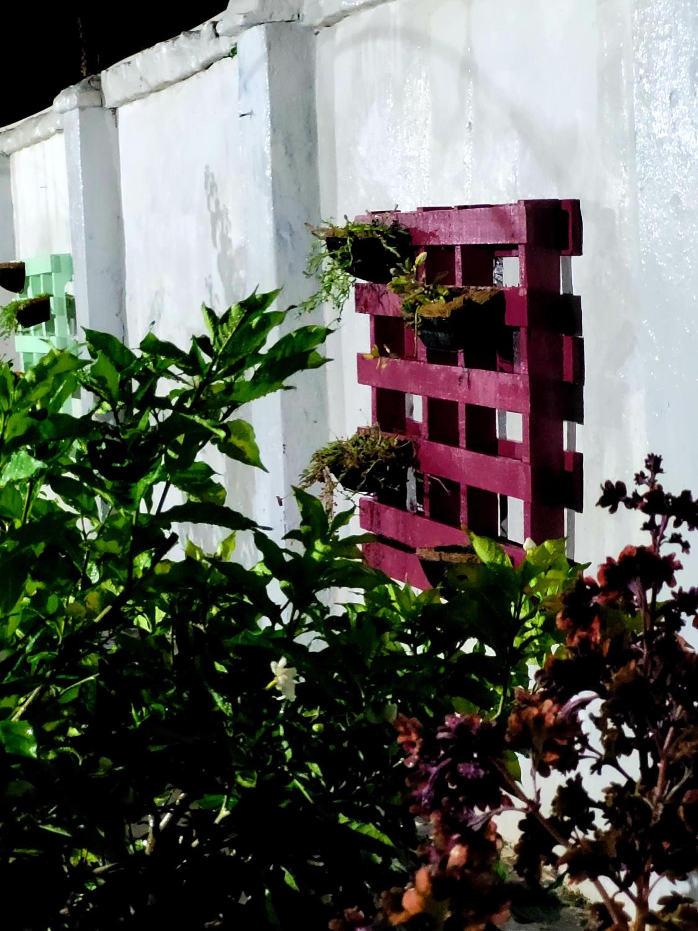 Hotel Casa Alicia Mompox