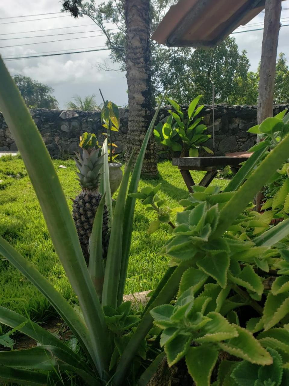 Pousada Bella Açucena