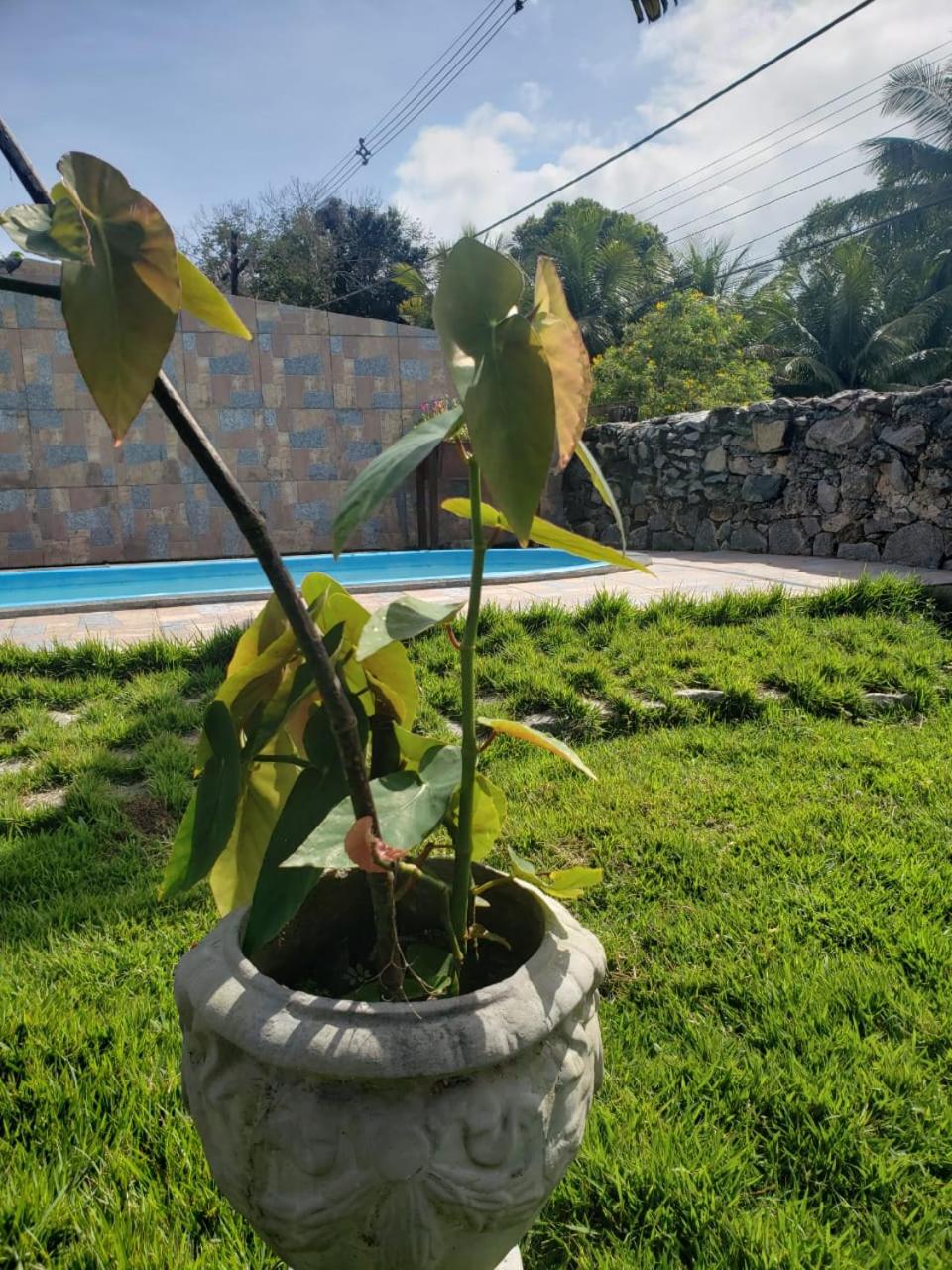 Pousada Bella Açucena