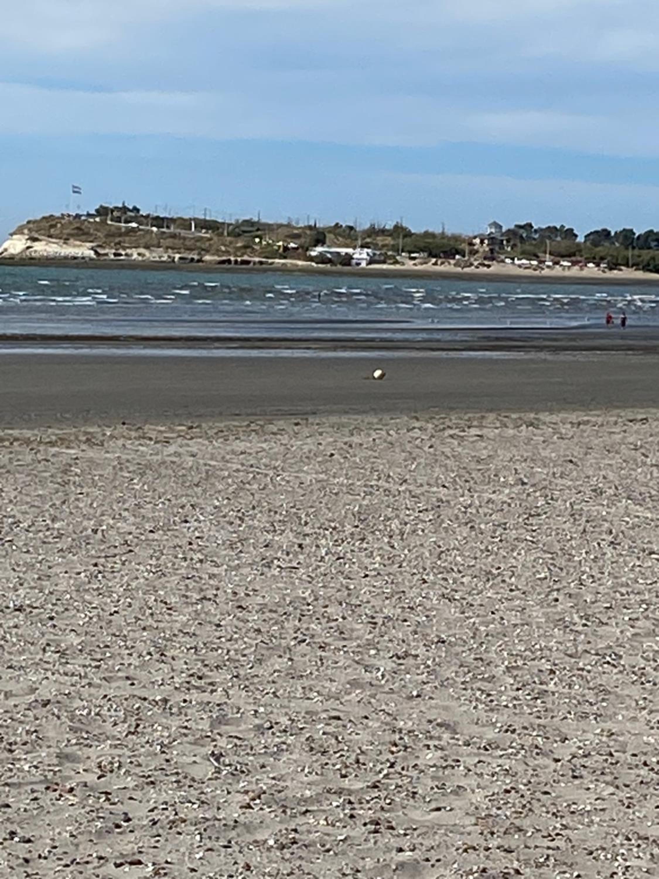 Oasis del Sur