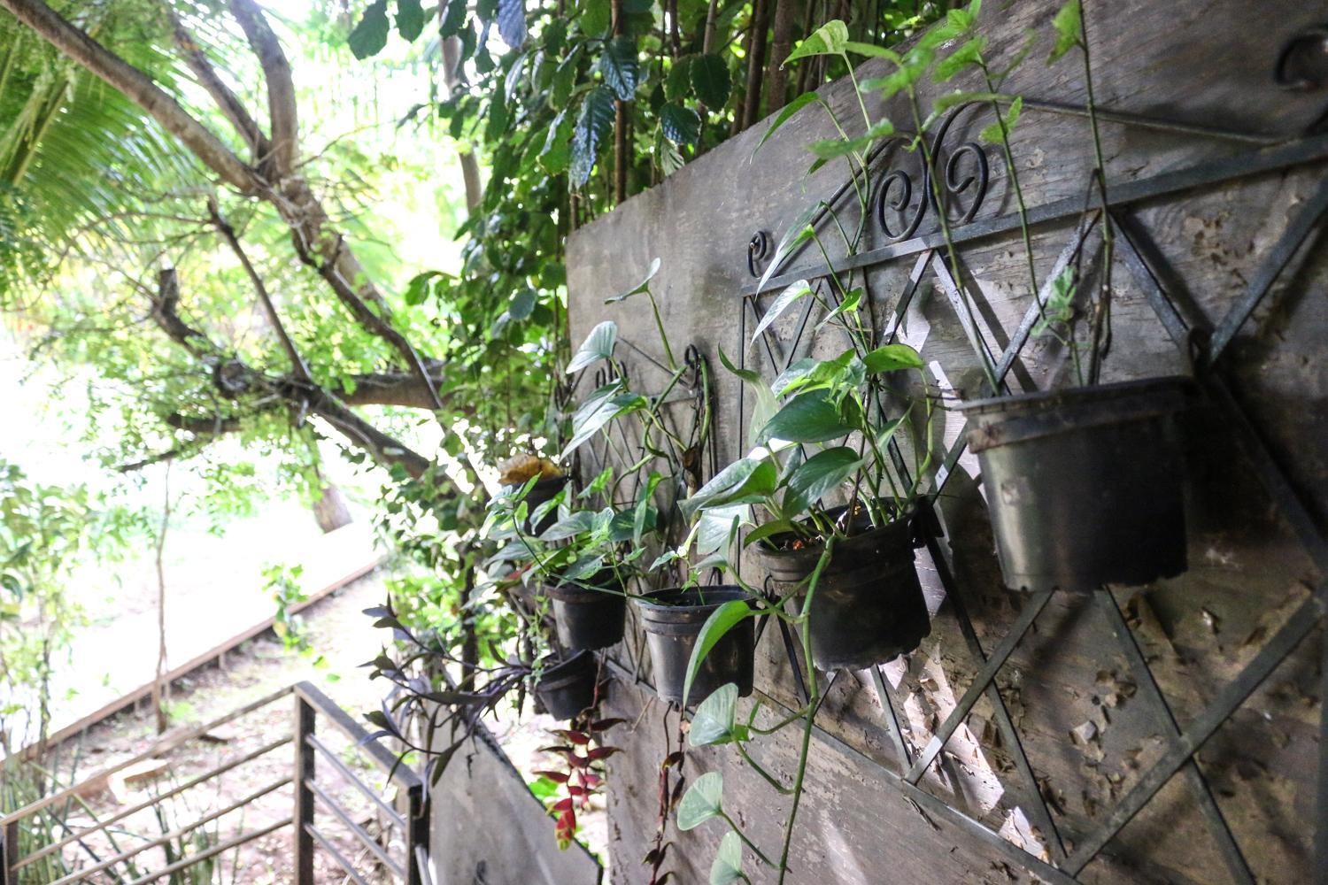 Flamboyant Residence