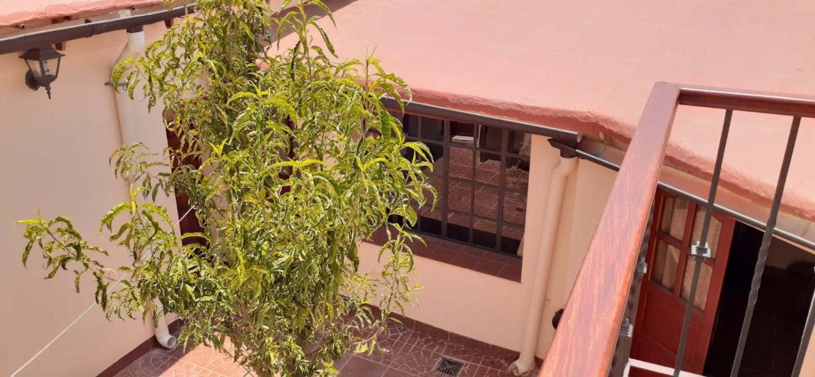 La casa del Norte