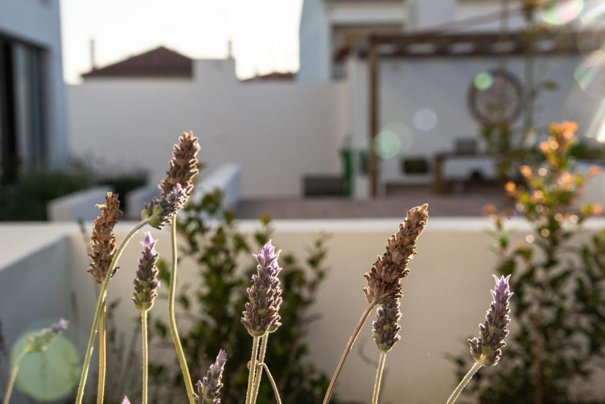 Vida na Vila view 3