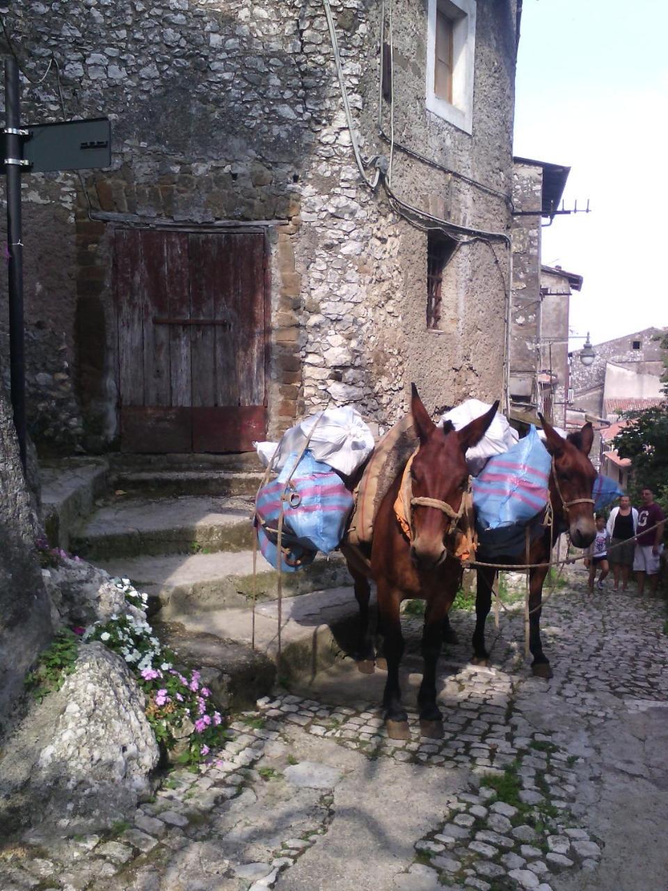 Rupe Antica, photo 10