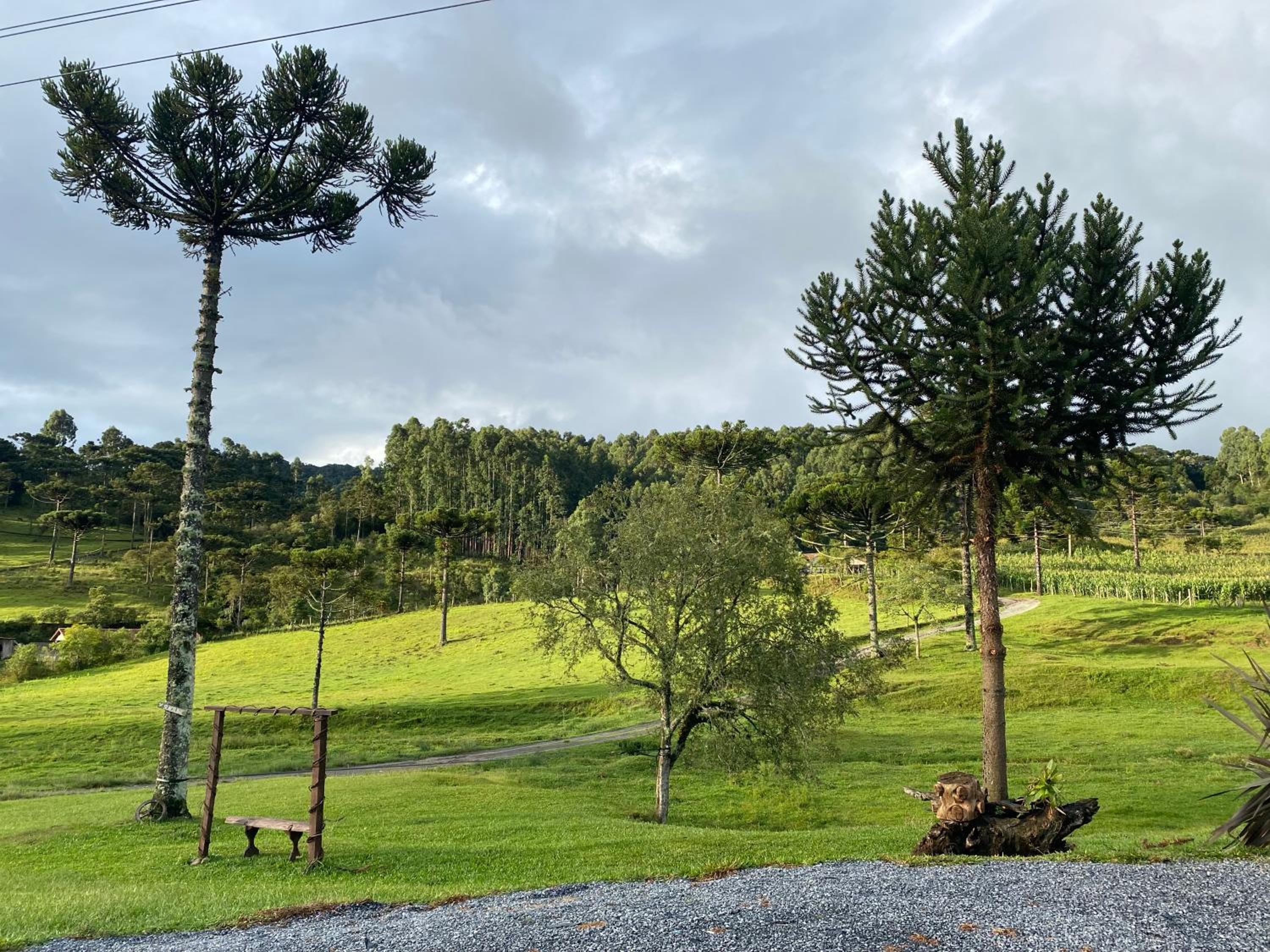 Pousada Rural Pavão - Suites e Chalés
