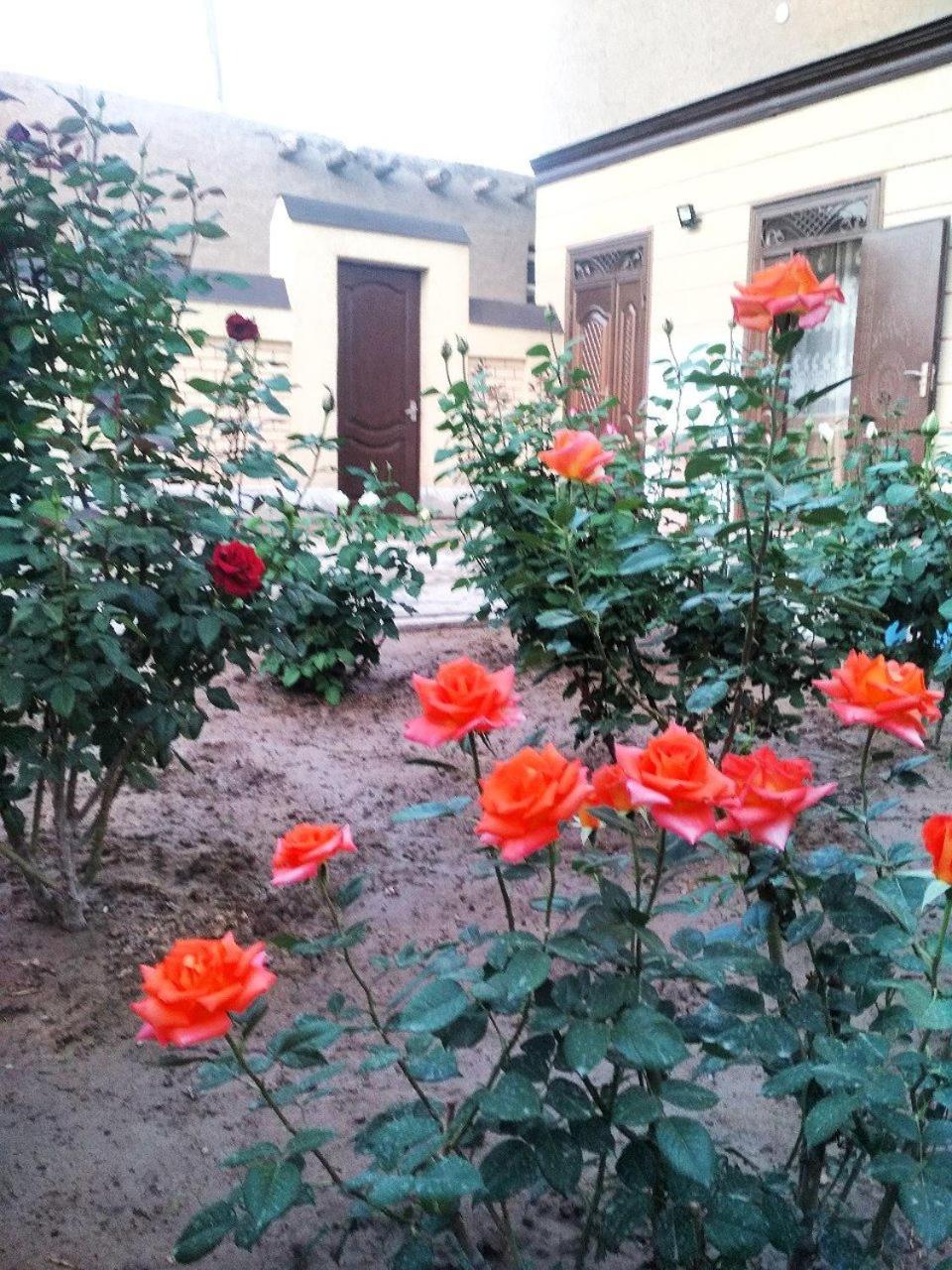 Photo 36