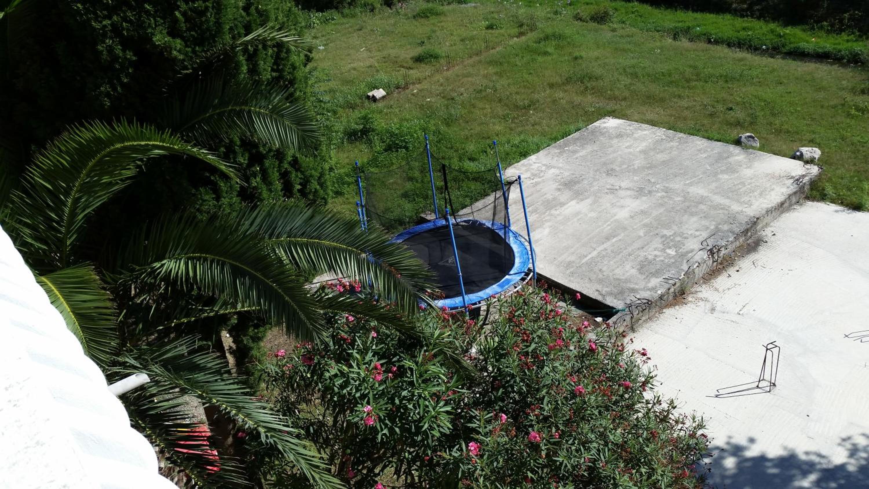 Apartments Beba Zalad