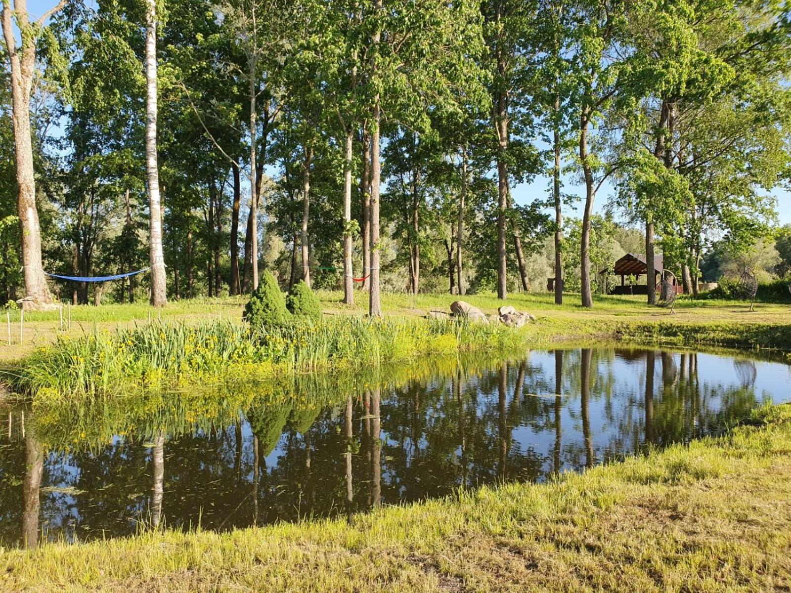 Photo 14