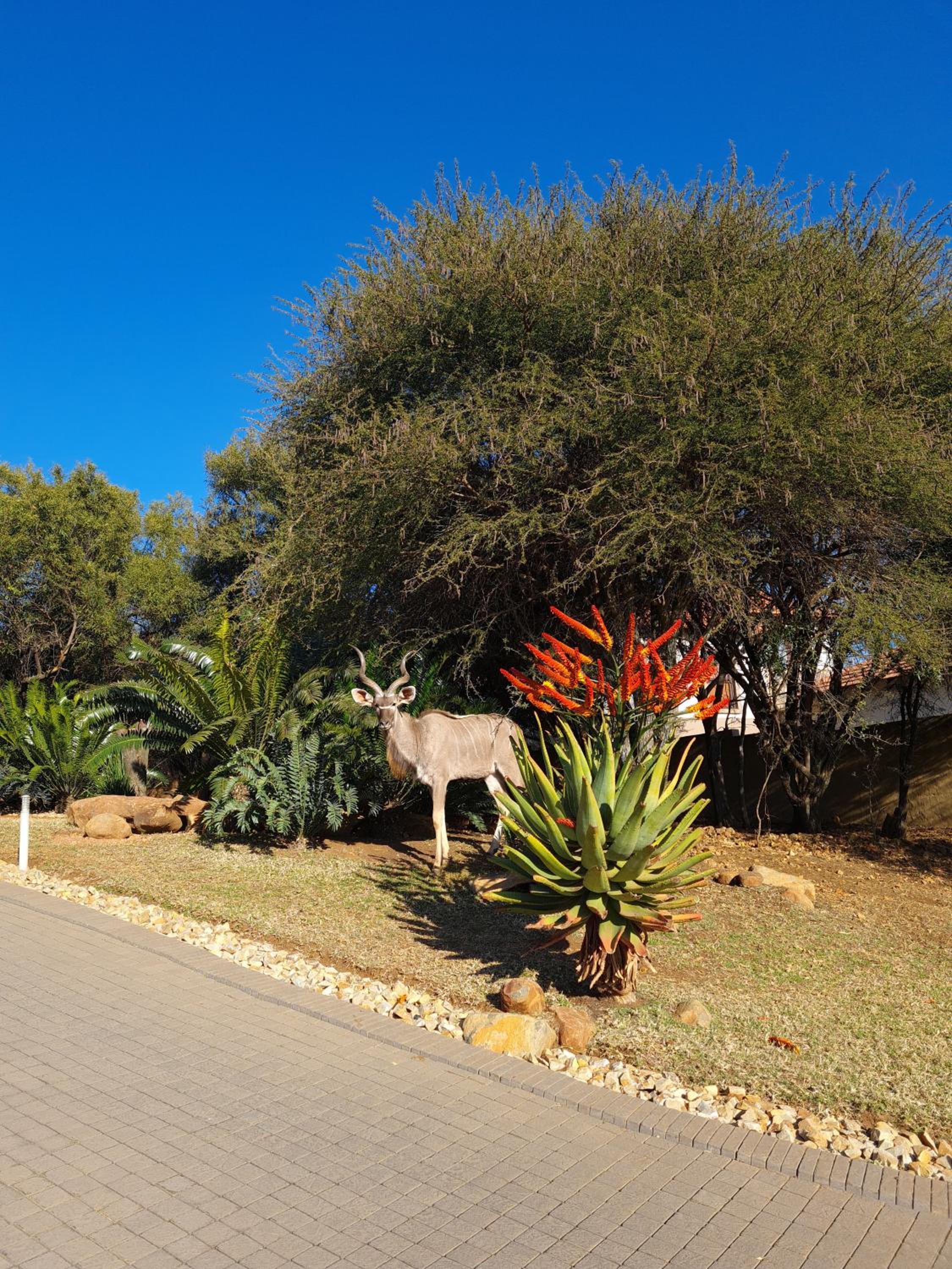 Casa Basilio Studio view 5