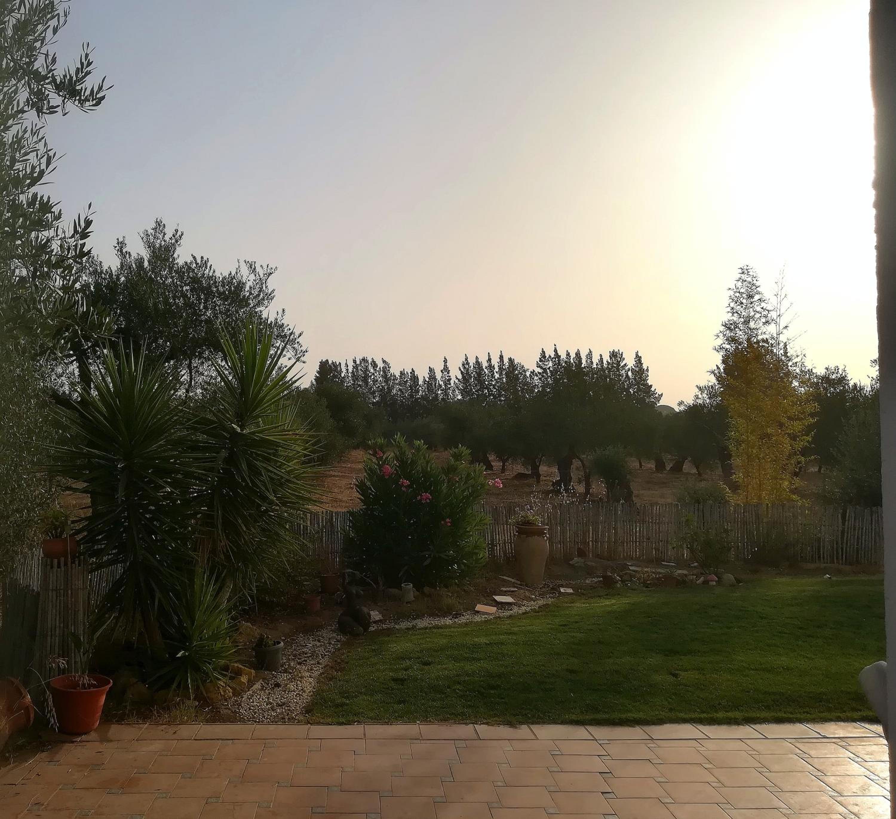 Photo 36