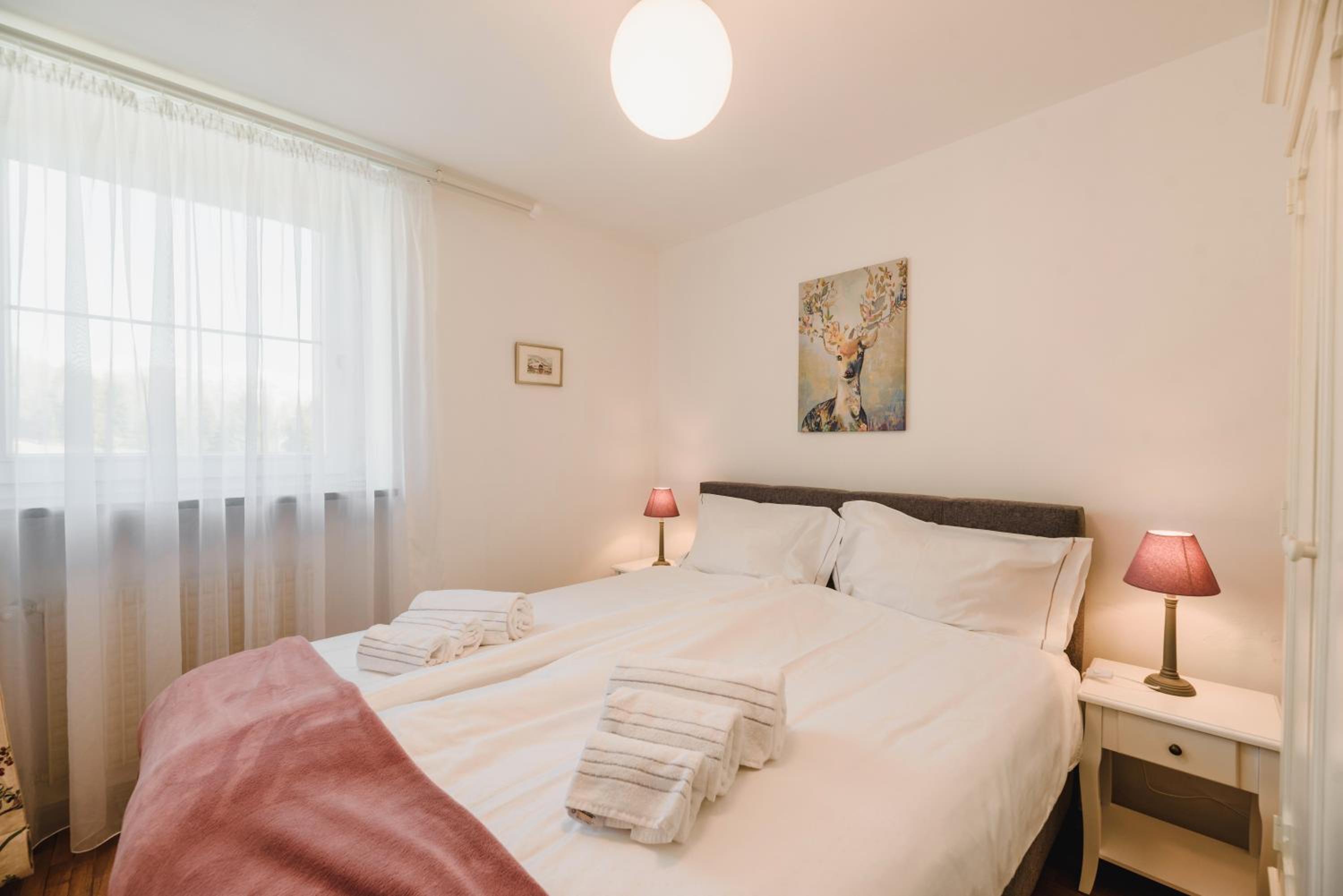 Renoviertes Apartment mit Terrasse an der Piste mit kostenlosen WiFi view 4