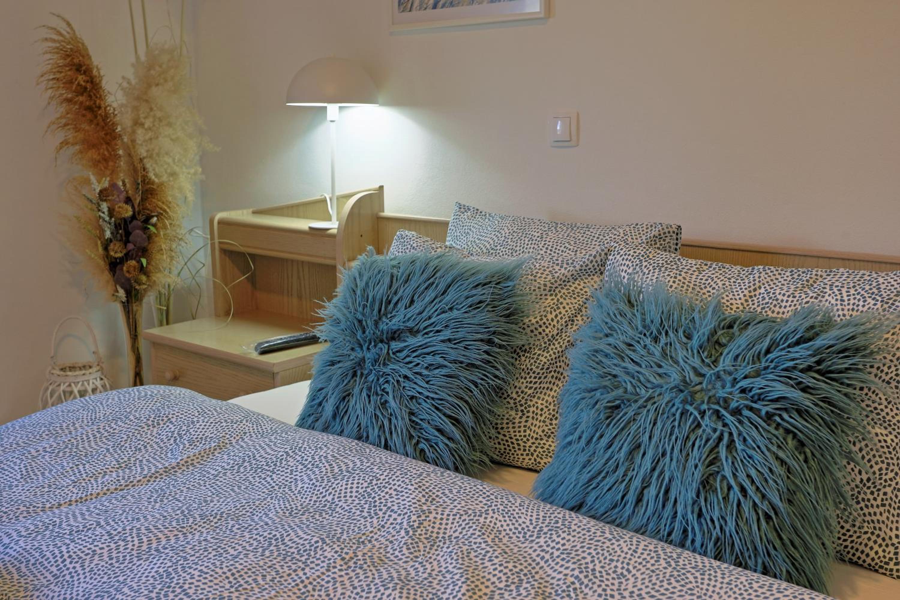 Luxury Apartman Alex with sauna view 5