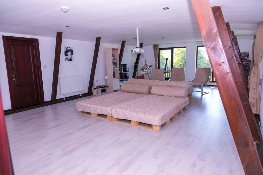 Photo 46