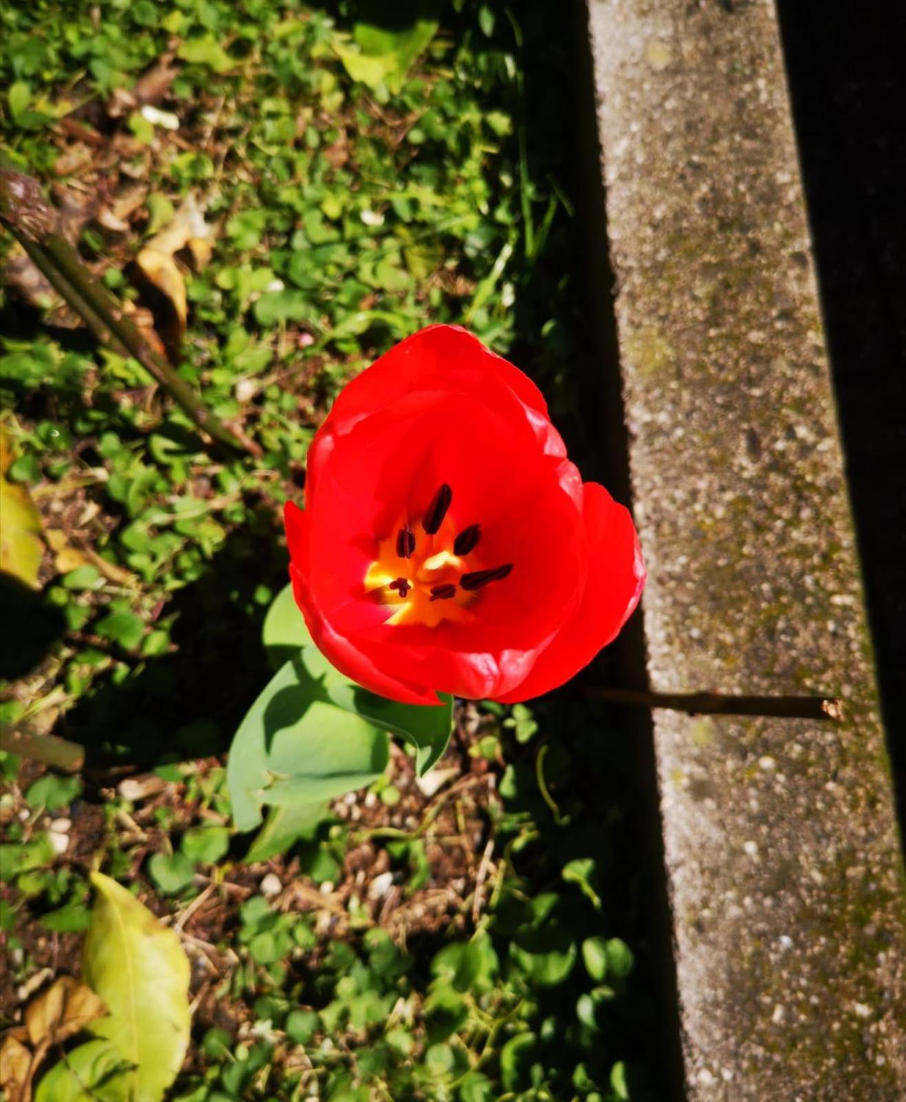 Photo 45