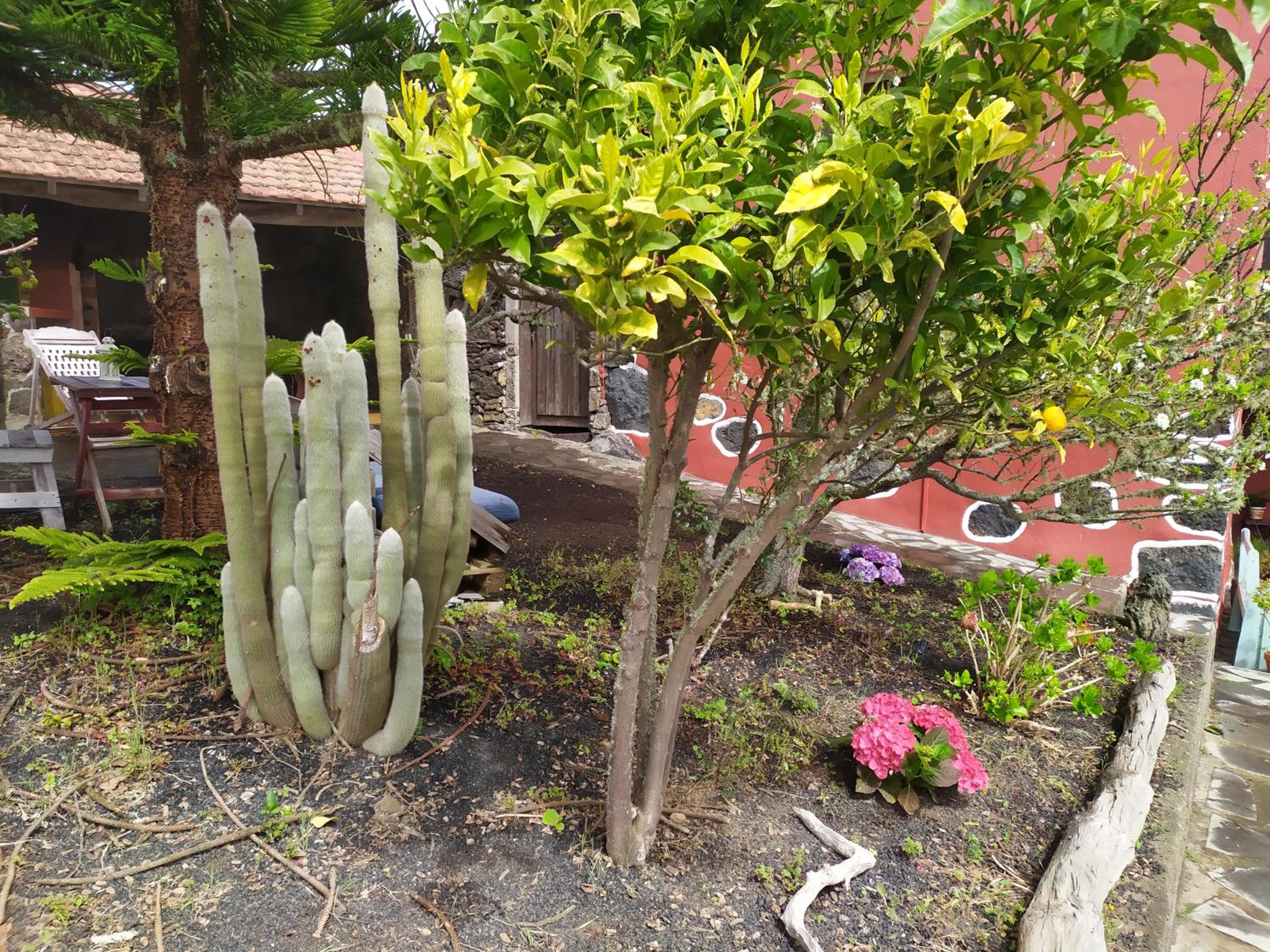 Photo 28