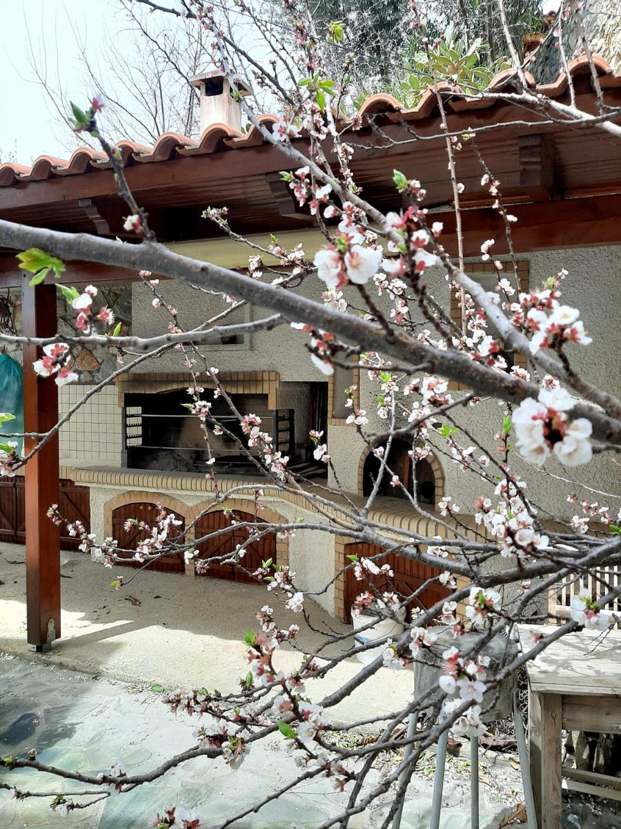 Iro's House view 3