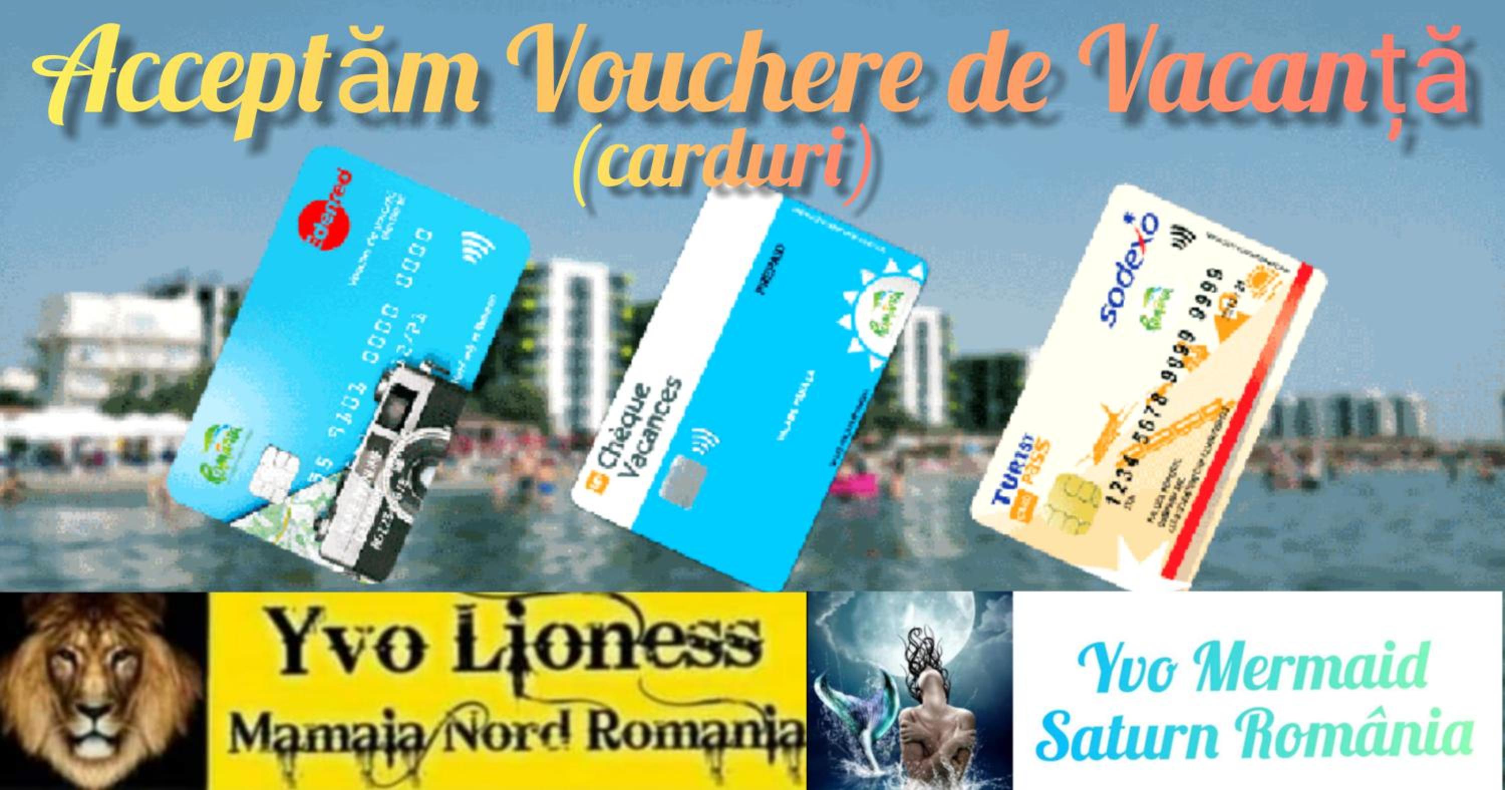 Yvo Lioness & Mamaia Nord view 4