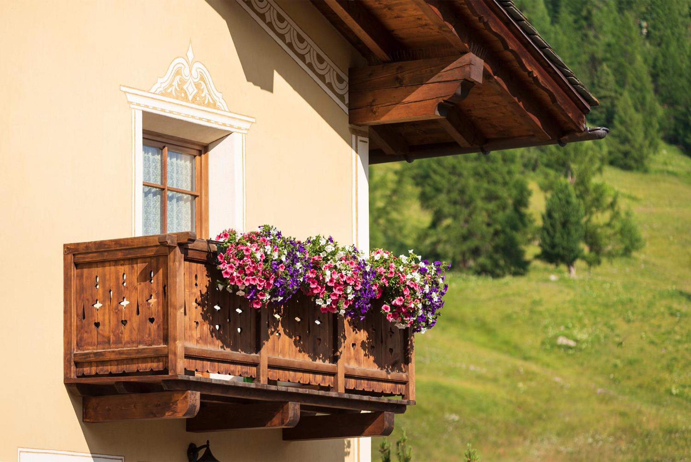 Chalet Rosita