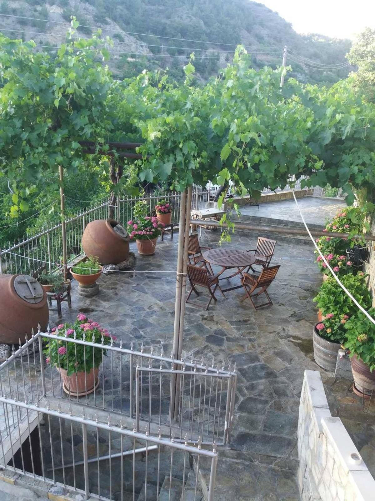 Rodous Village House
