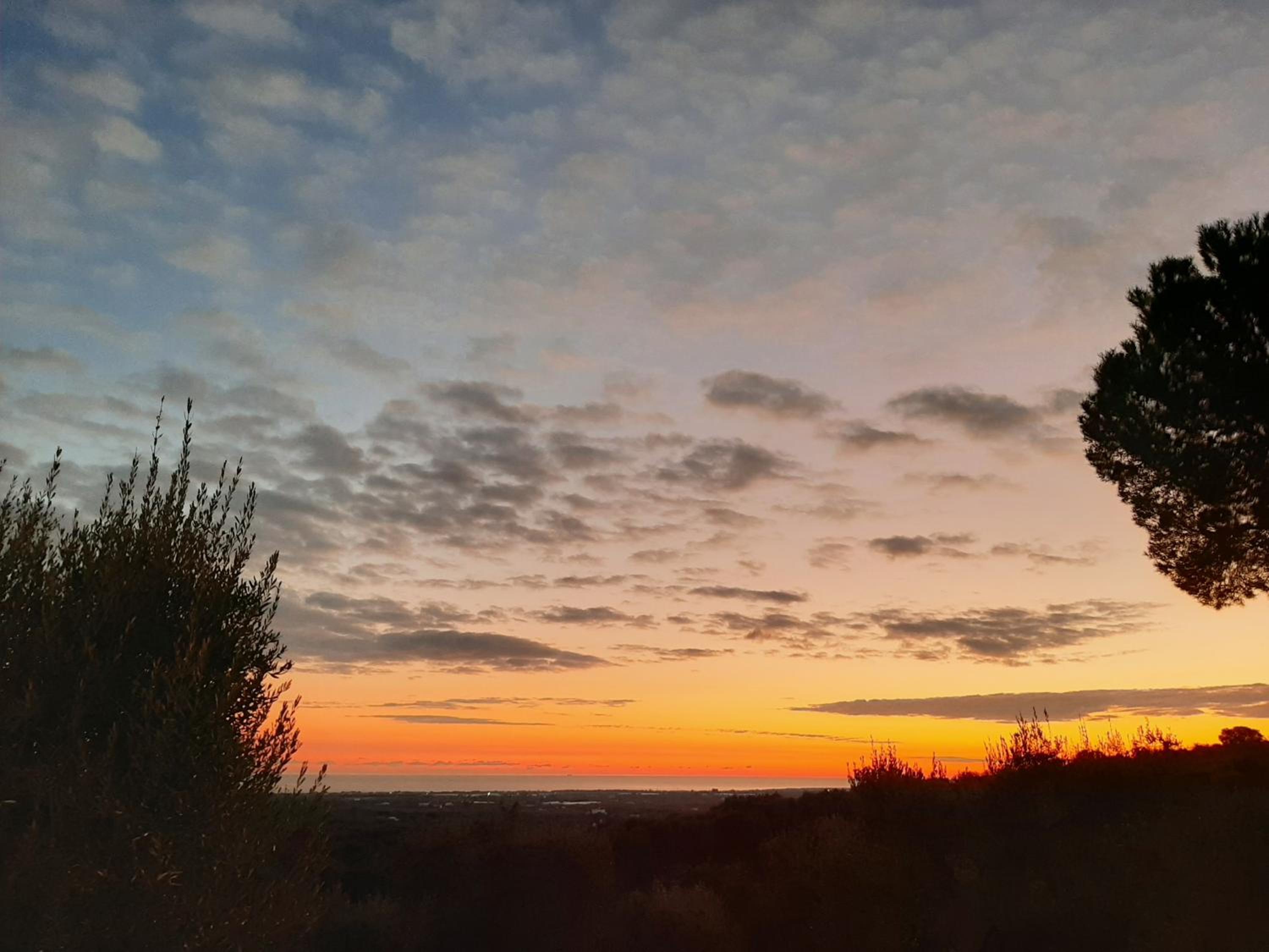 Alla Panoramica