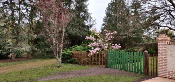 Photo 22