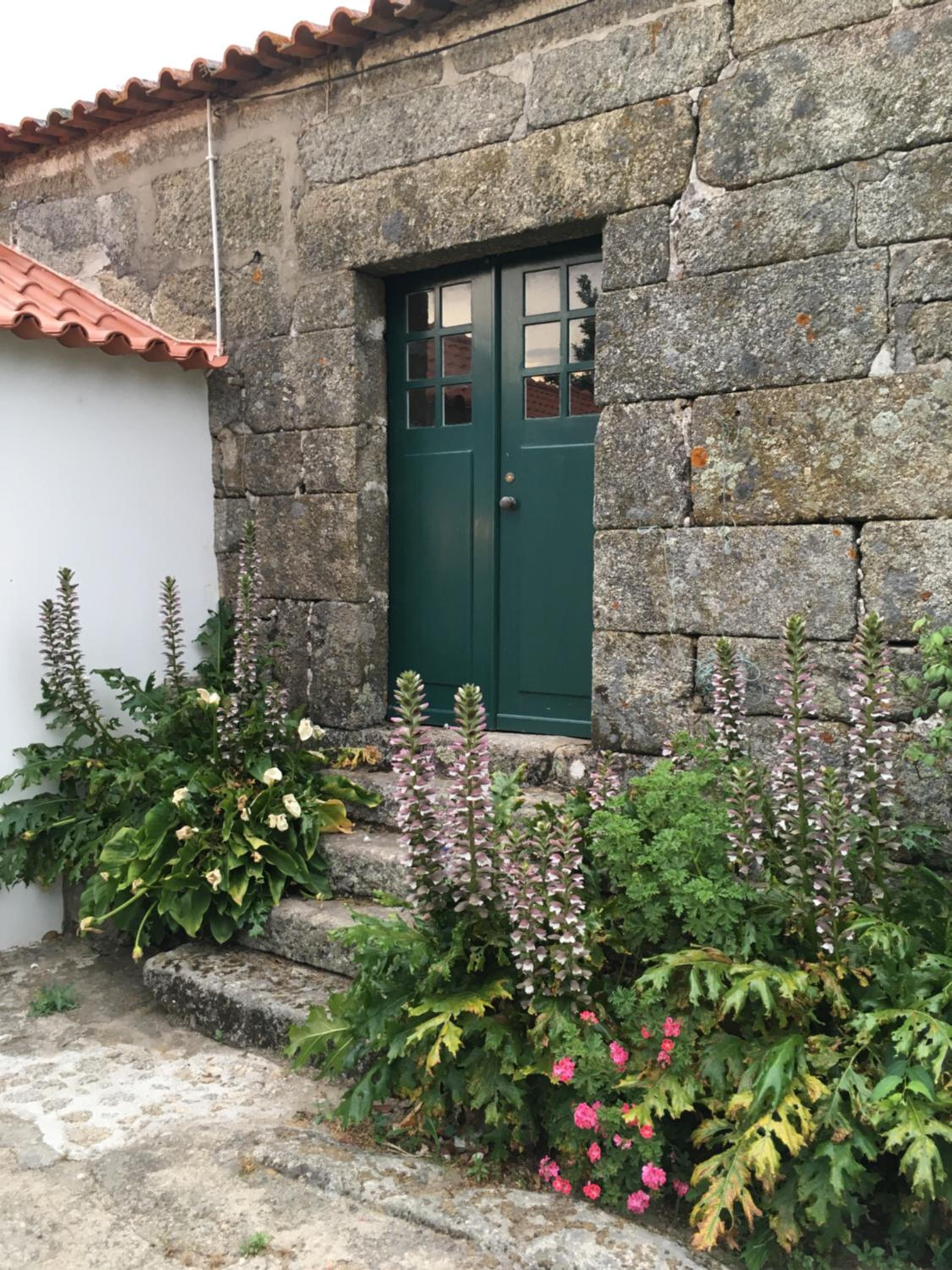 Casa em Resende com Vista Para o Rio Douro view 4