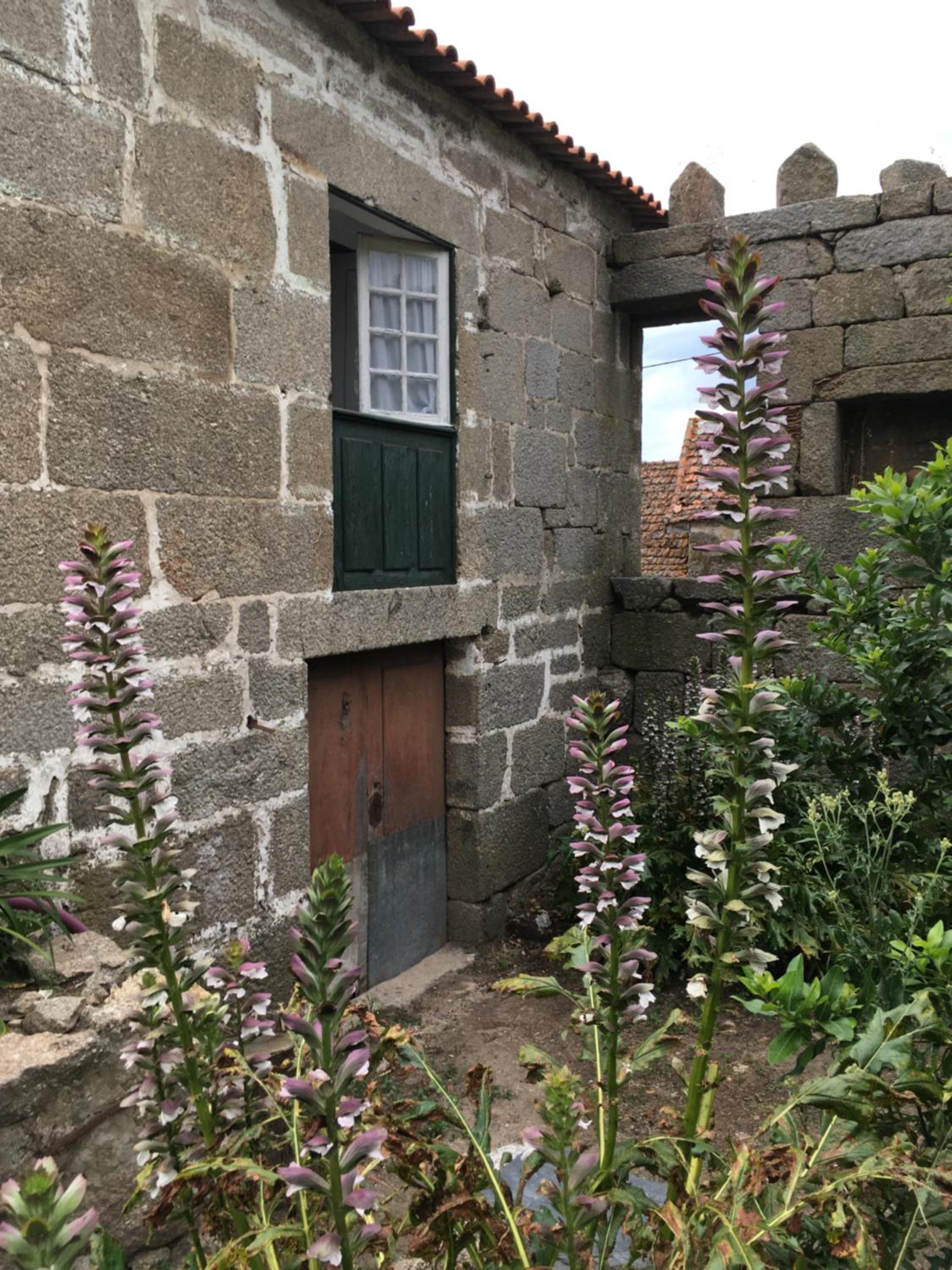Casa em Resende com Vista Para o Rio Douro view 3