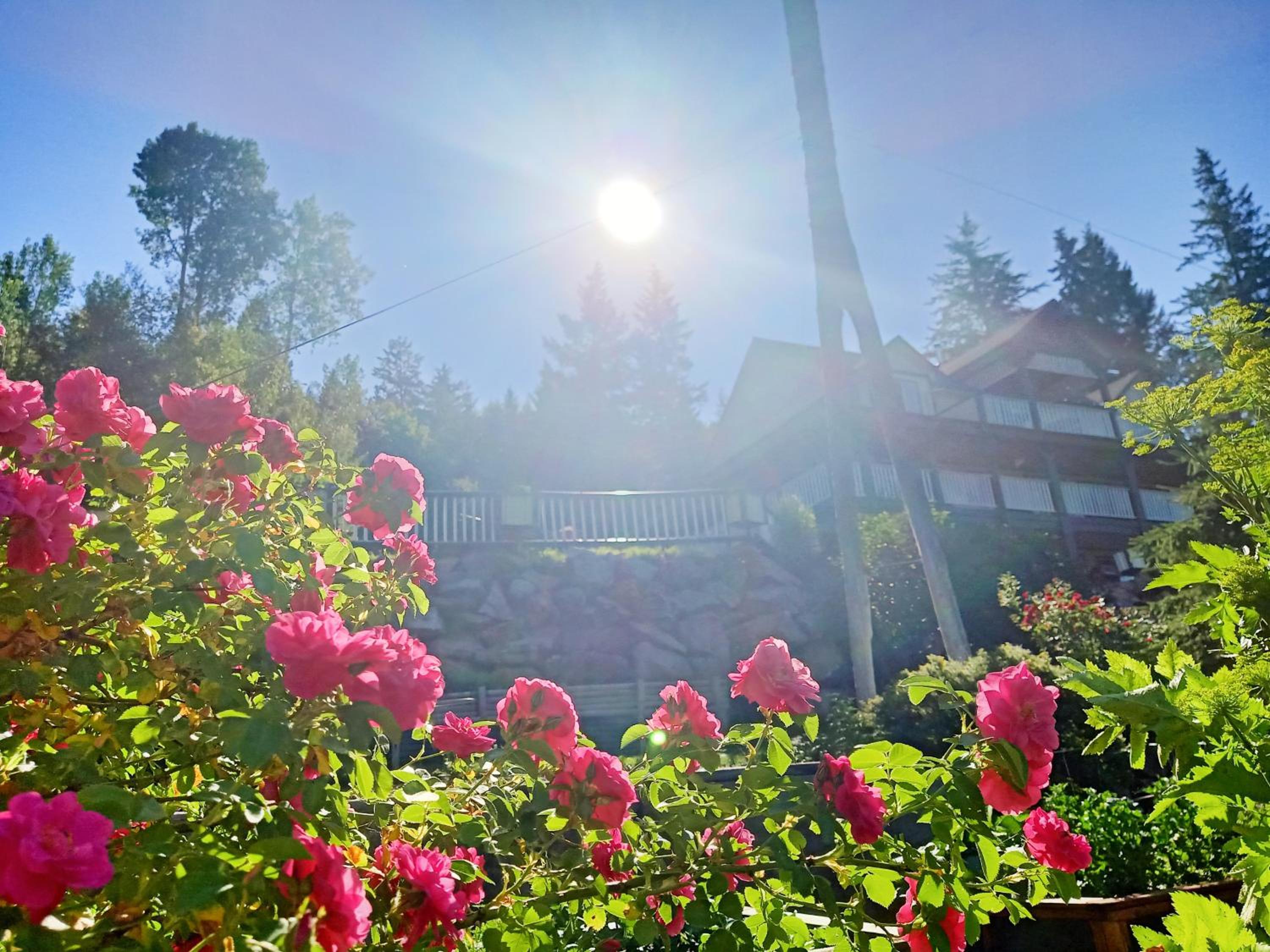 Golden Vacations - 2mins to Town, AC  Sauna, Self Check-in, Full Kitchen, Free Laundry  Parking, Family Pet Friendly, Comfortably Sleeps Up To 10 - Property Image 28