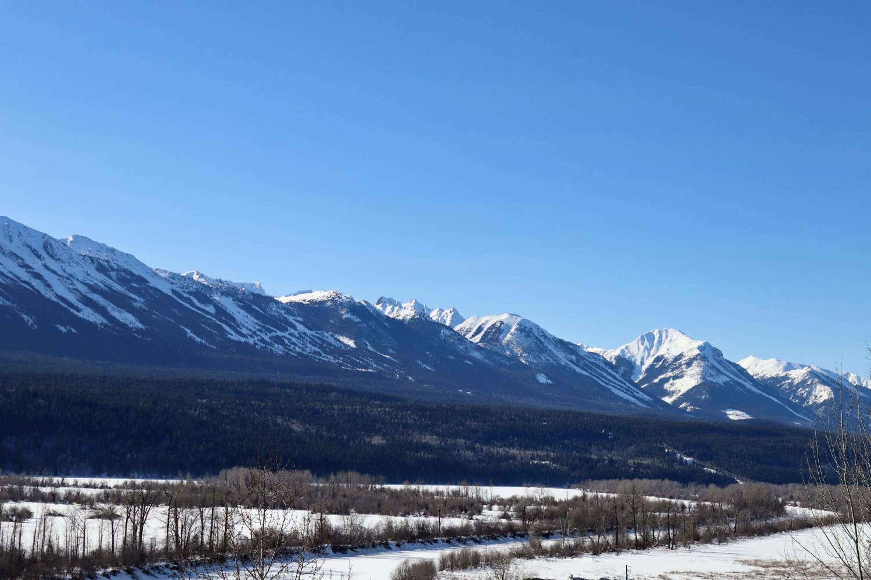 Golden Vacations - 2mins to Town, AC  Sauna, Self Check-in, Full Kitchen, Free Laundry  Parking, Family Pet Friendly, Comfortably Sleeps Up To 10 - Property Image 40