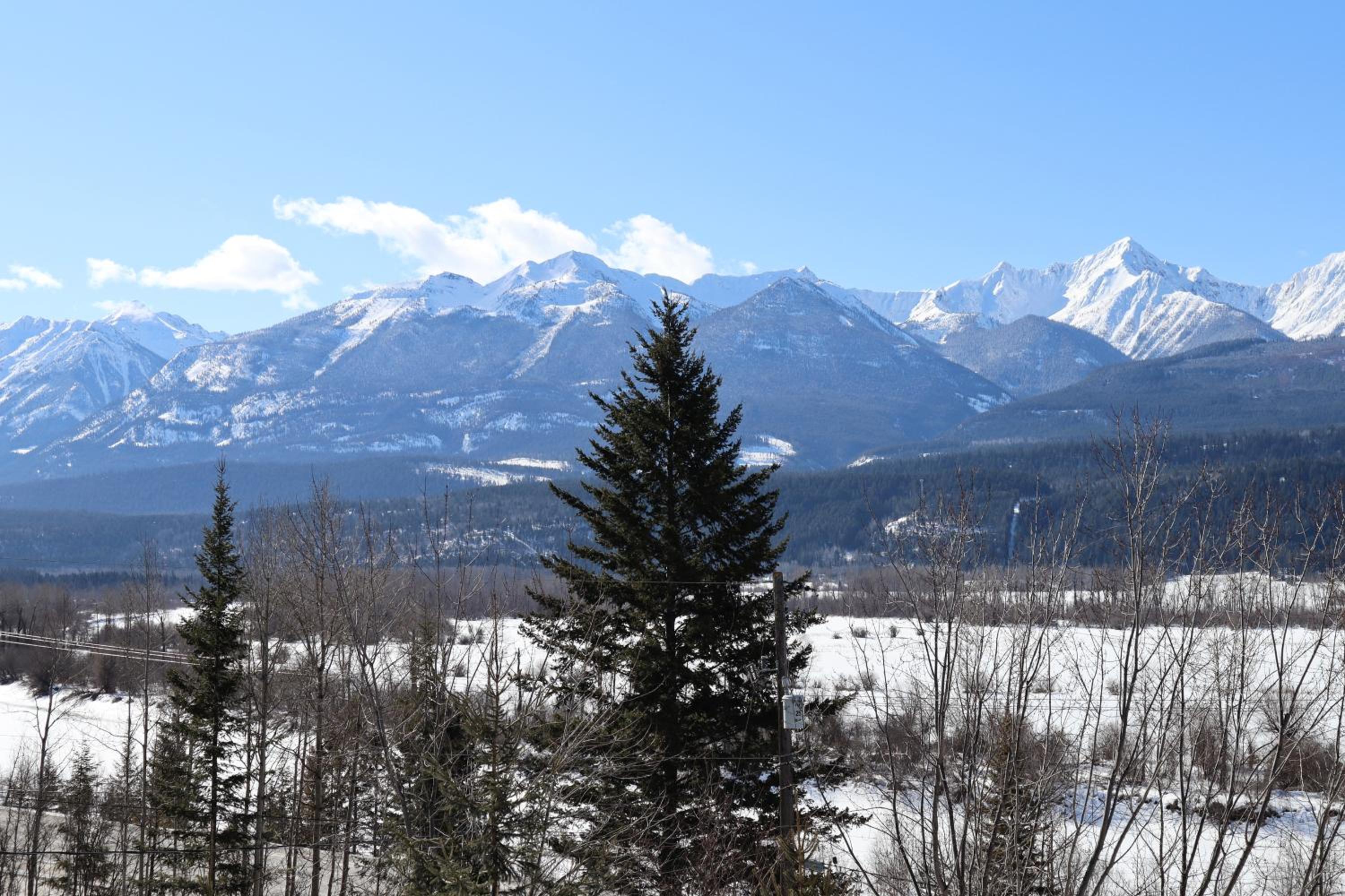 Golden Vacations - 2mins to Town, AC  Sauna, Self Check-in, Full Kitchen, Free Laundry  Parking, Family Pet Friendly, Comfortably Sleeps Up To 10 - Property Image 41