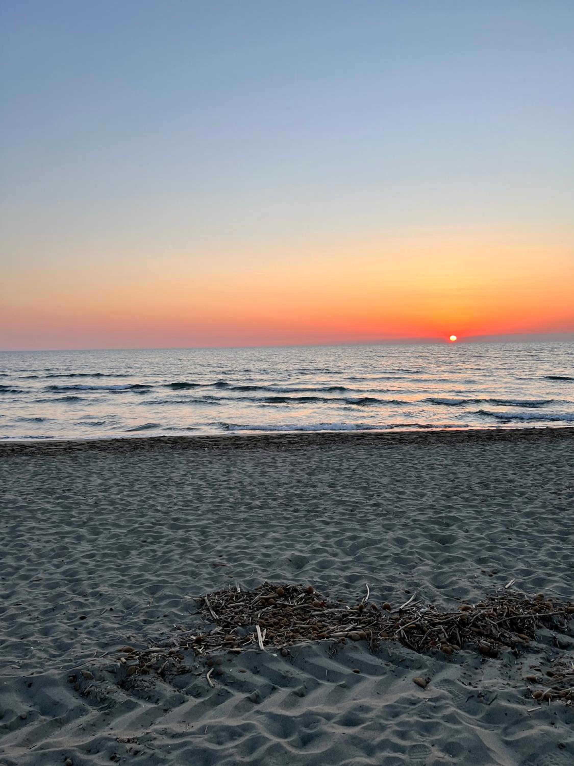 House Viareggio
