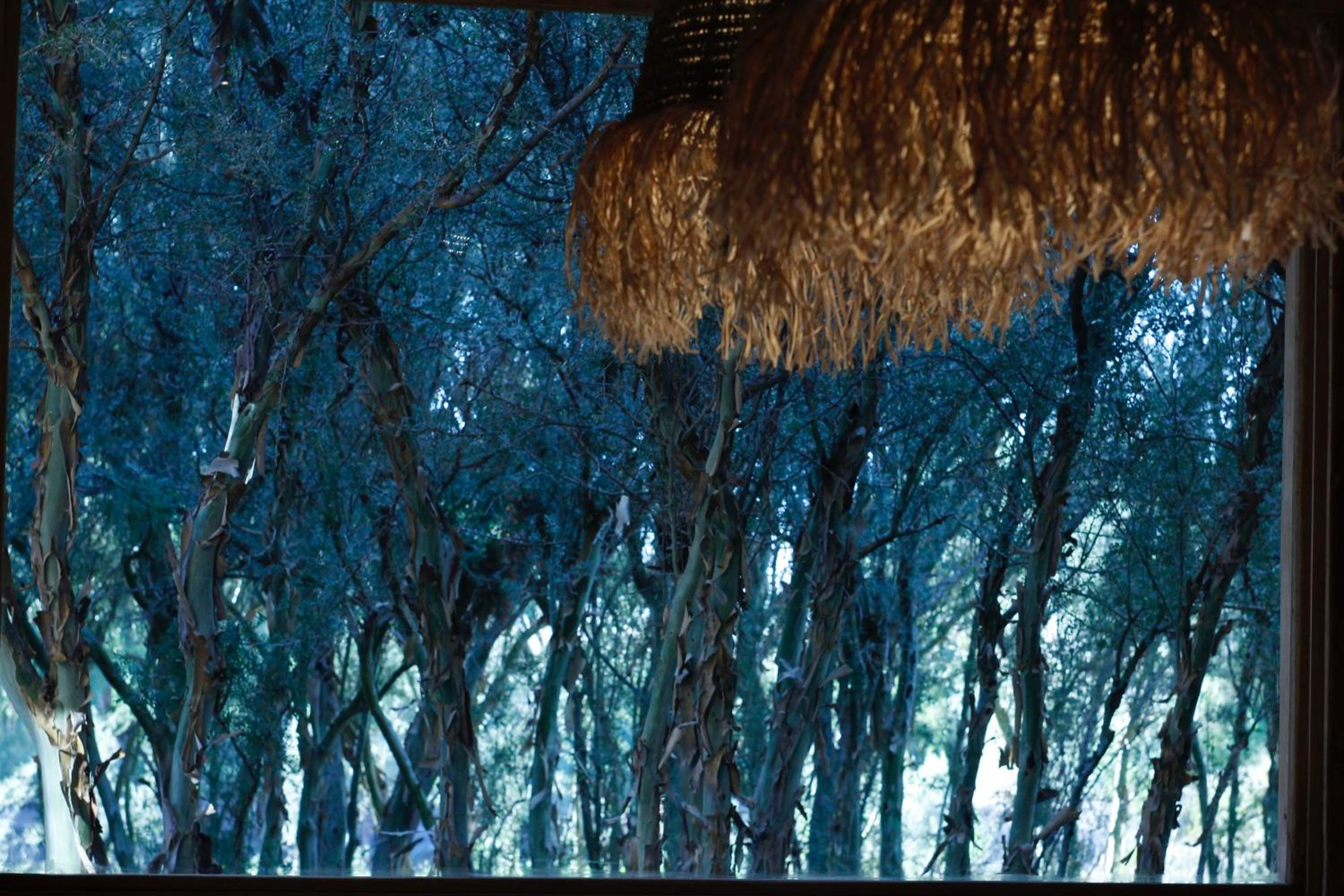Posada Rebaños