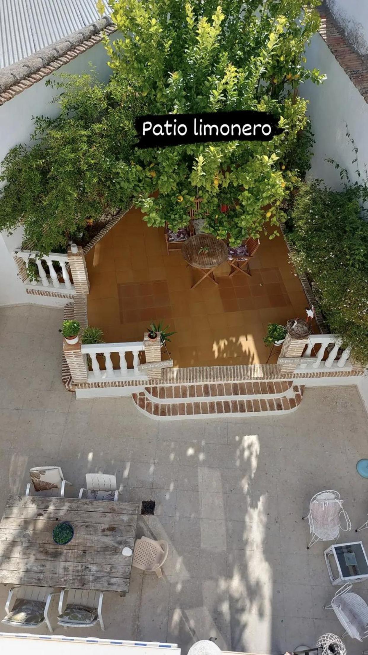 El Patio del Limonero