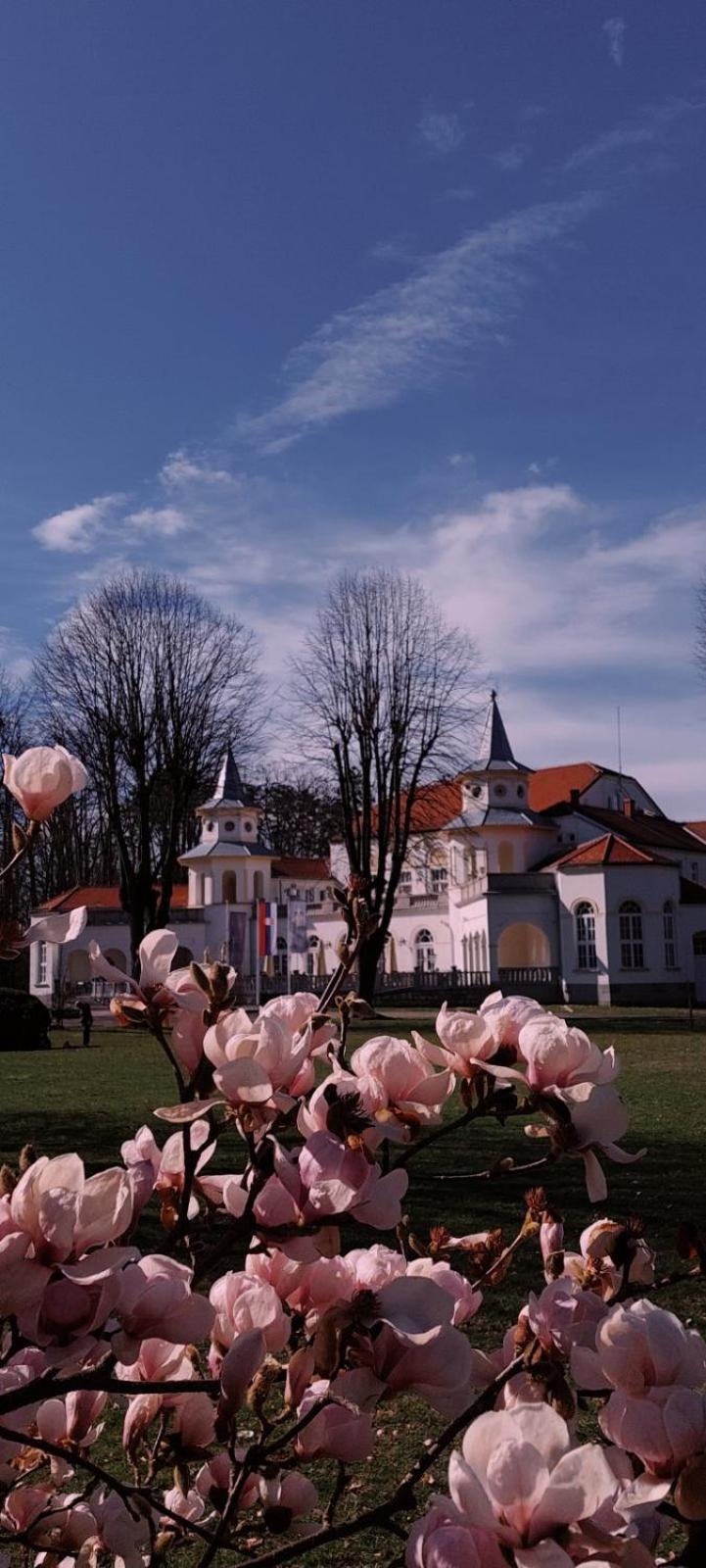Apartman 21 Banja Koviljača view 2