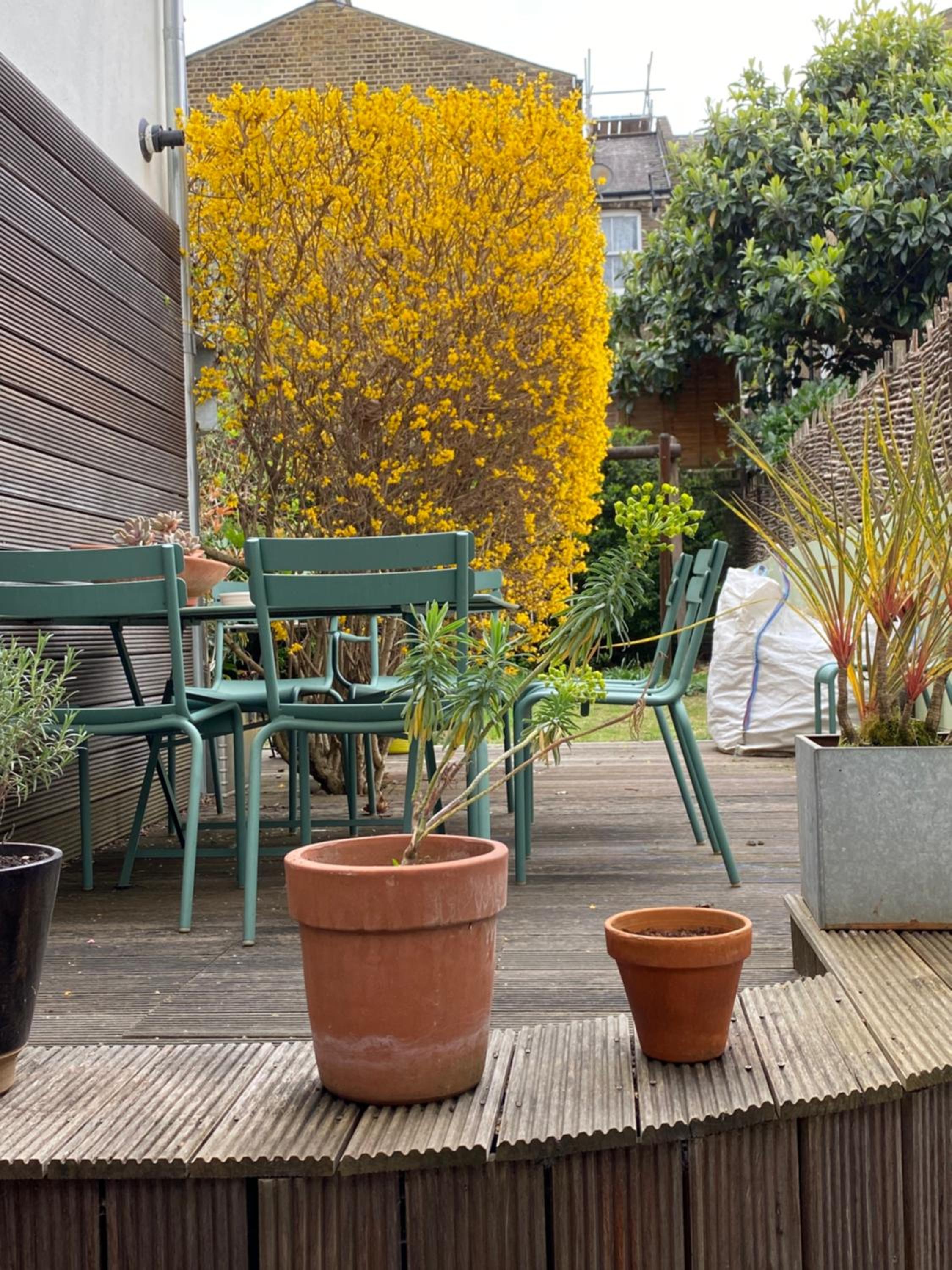 garden