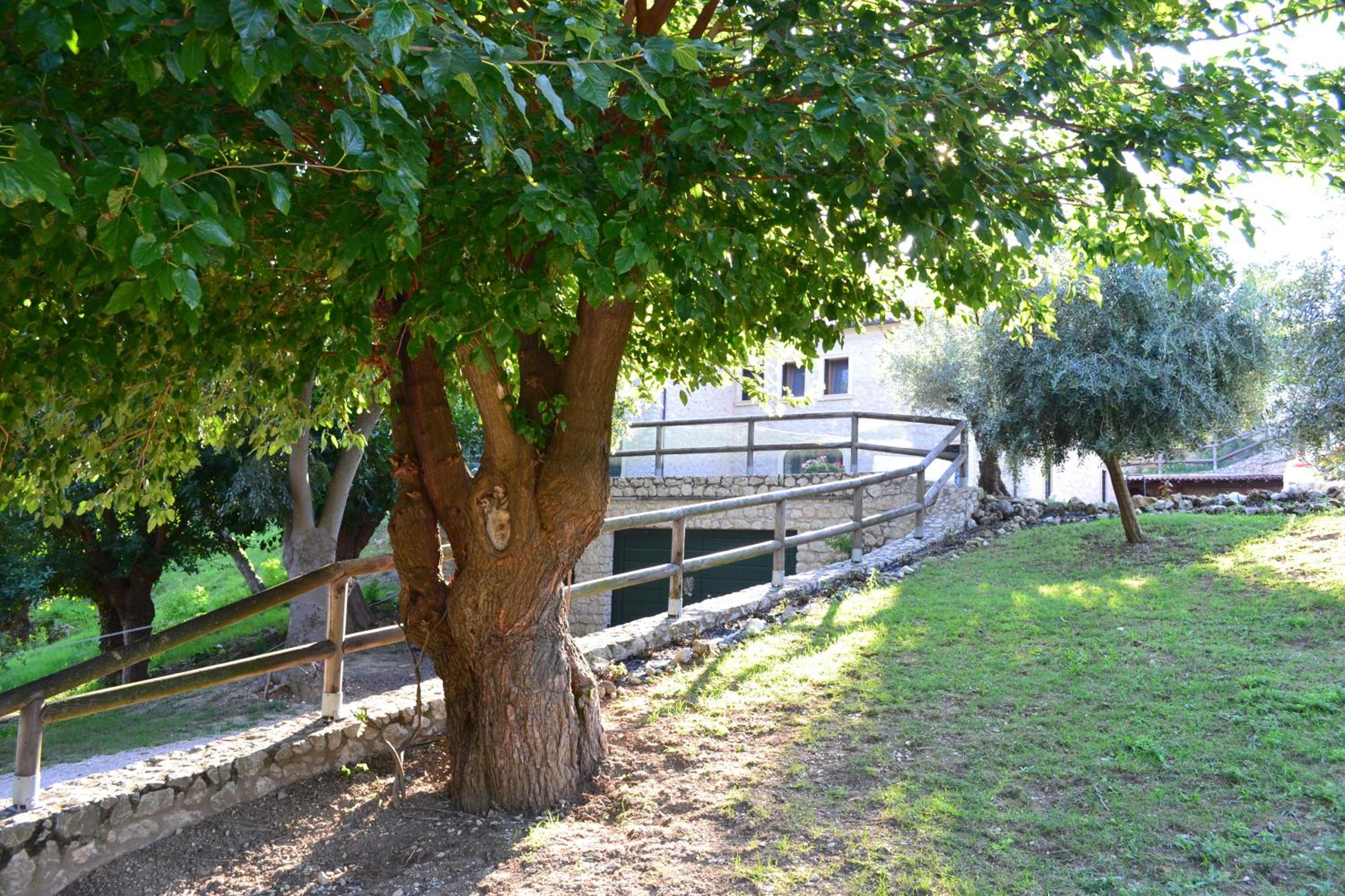 Photo 44