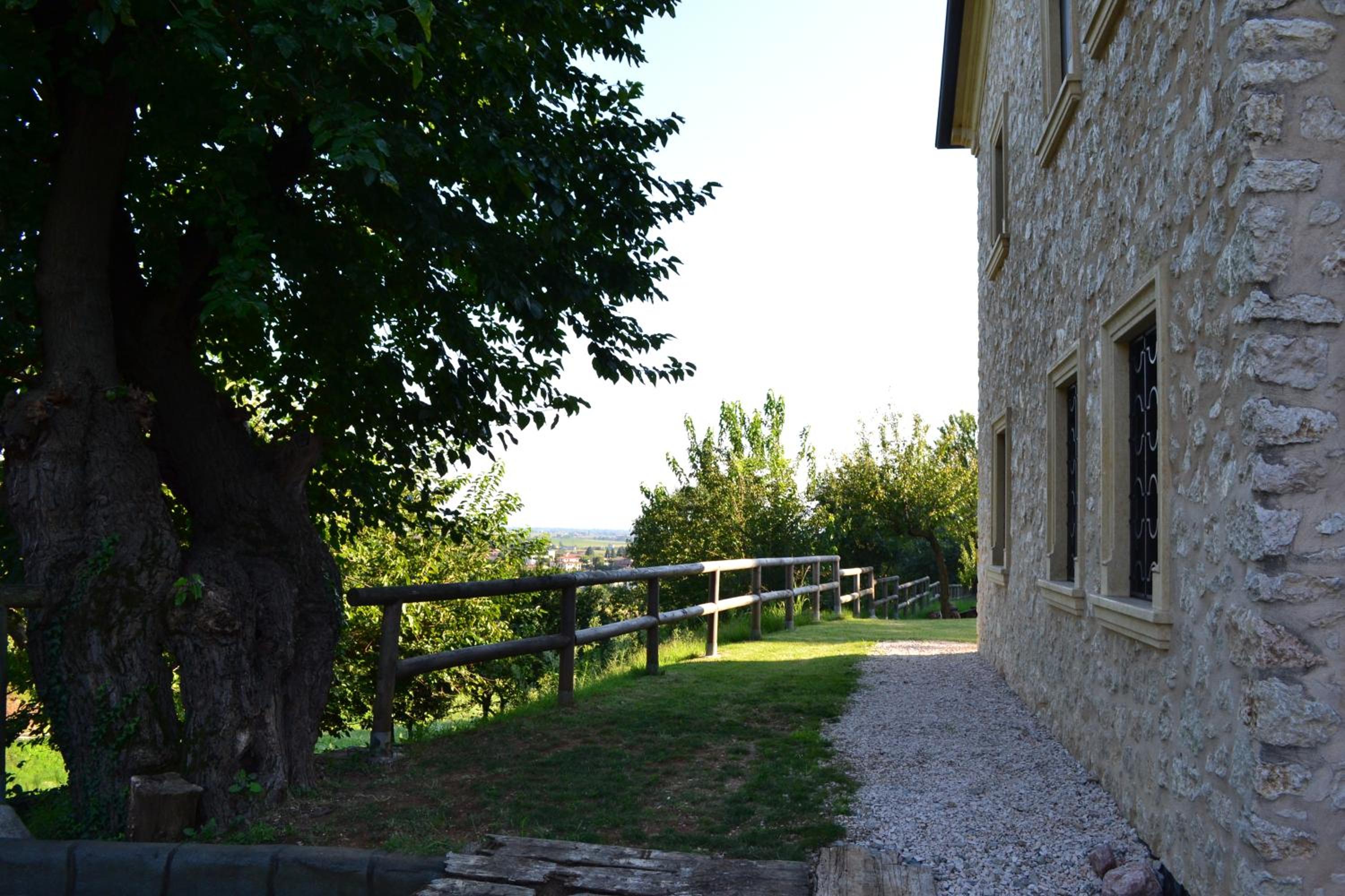 Photo 49