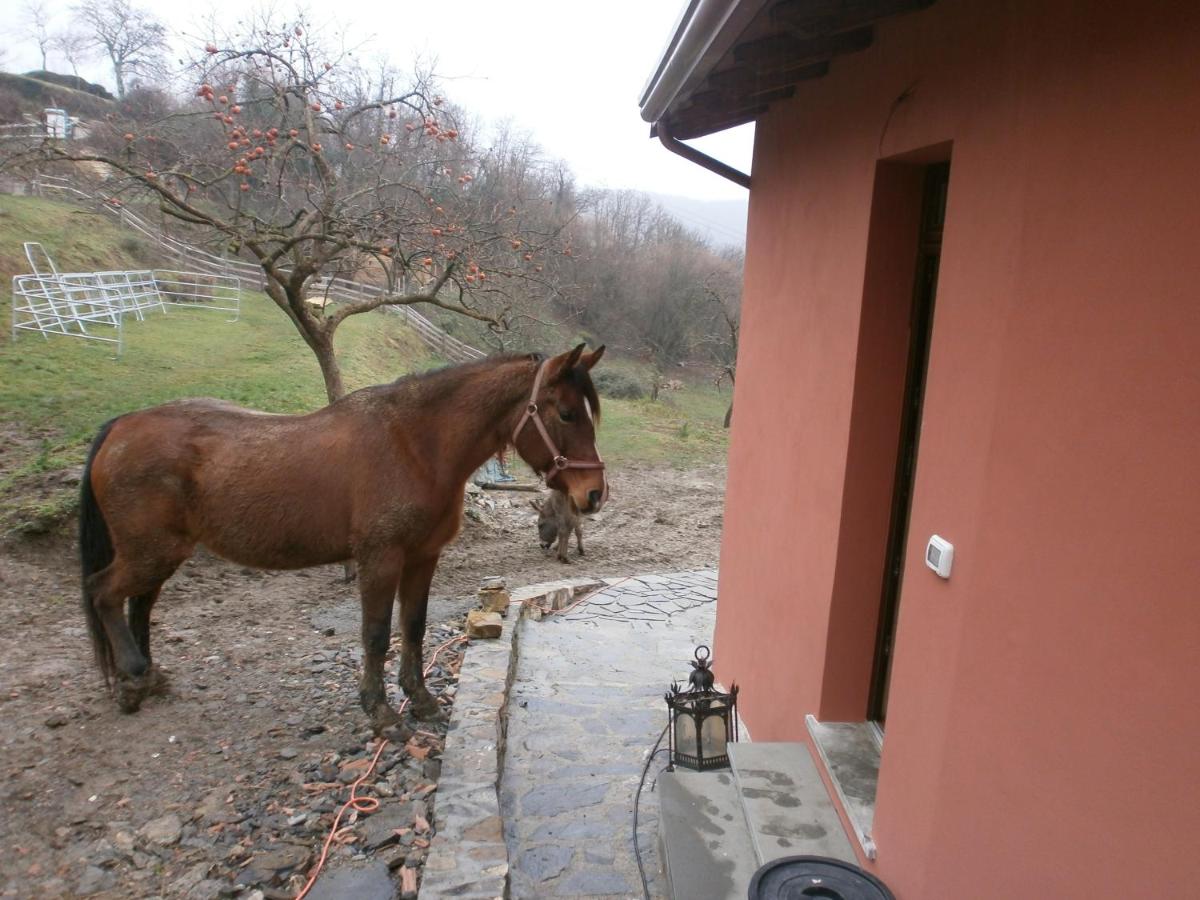 I Poggi di Grace photo 2