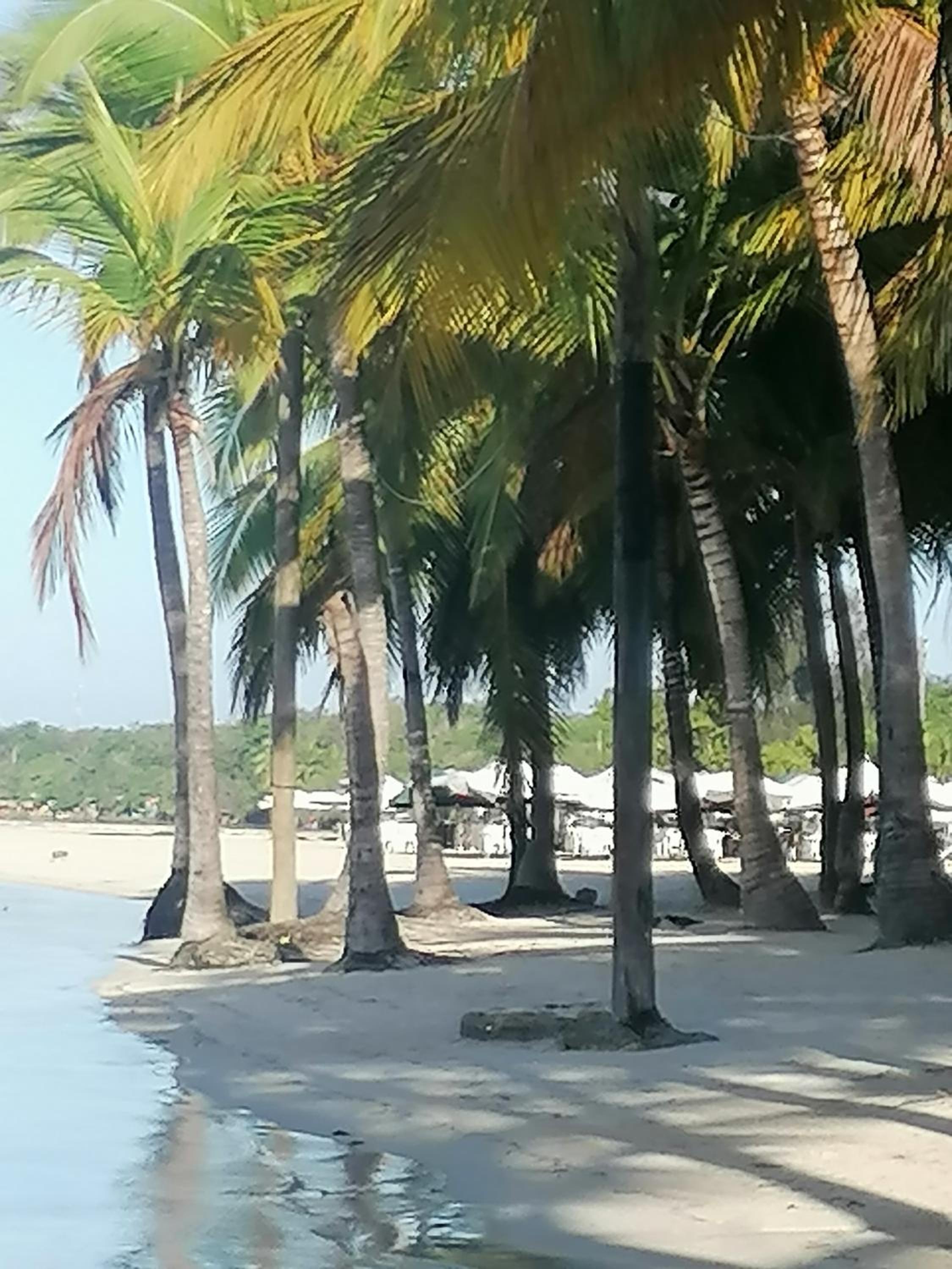 Apartment Monocal in Boca Chica