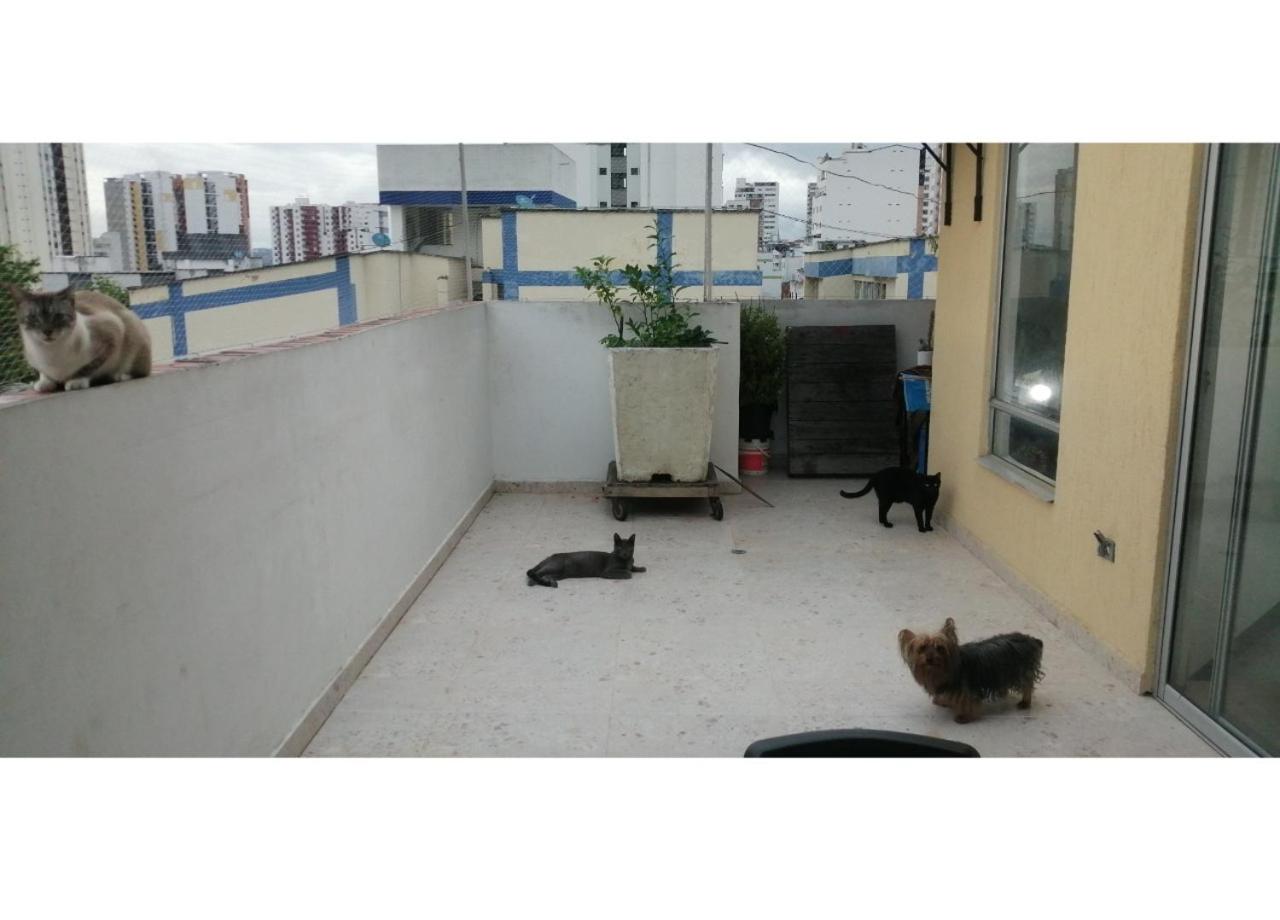 Habitación privada en apartamento con terraza view 3