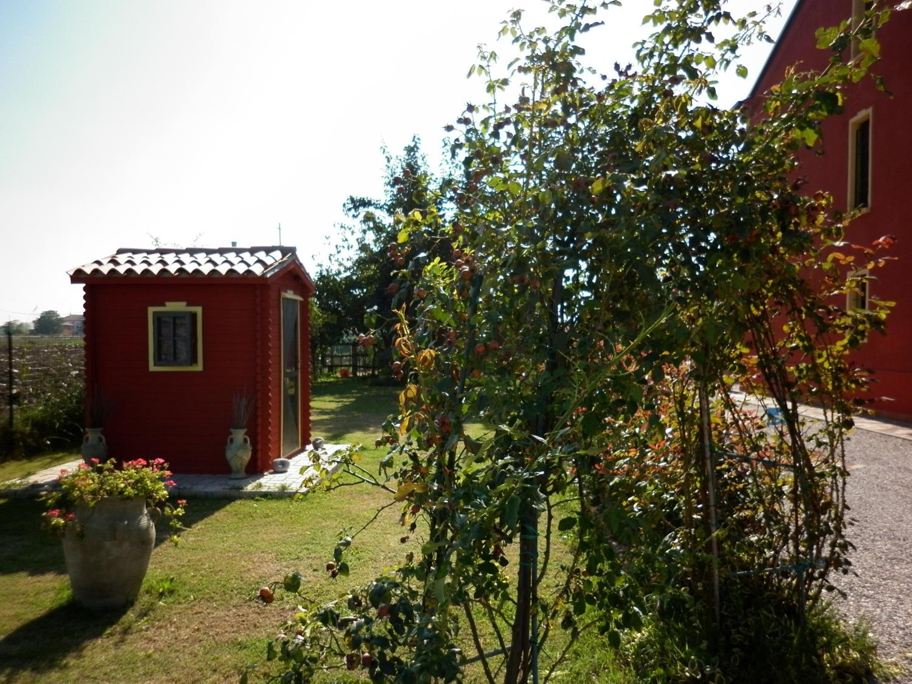 Photo 26