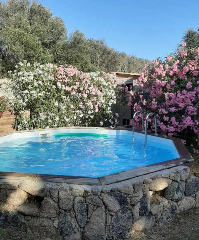 Mini Villa Giuseppina — photo 5