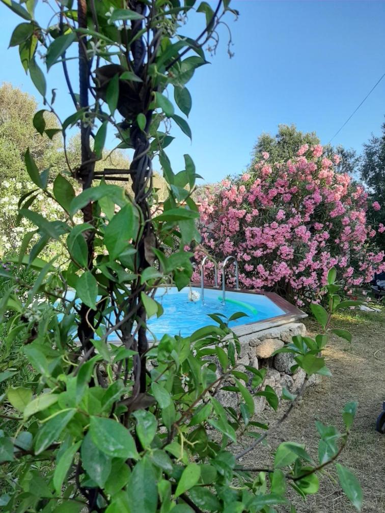 Mini Villa Giuseppina — photo 4