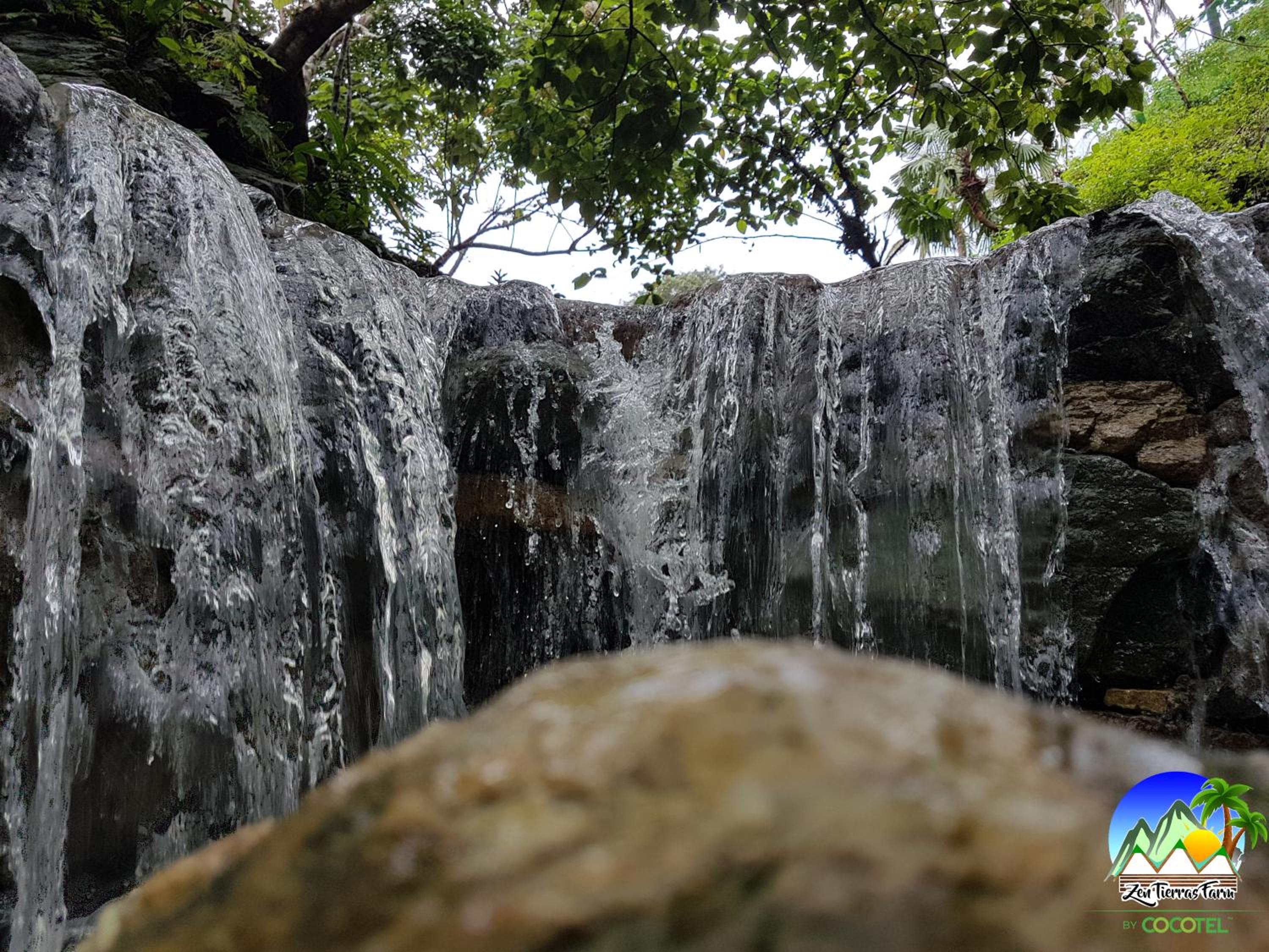 Zen Tierras Farm powered by Cocotel