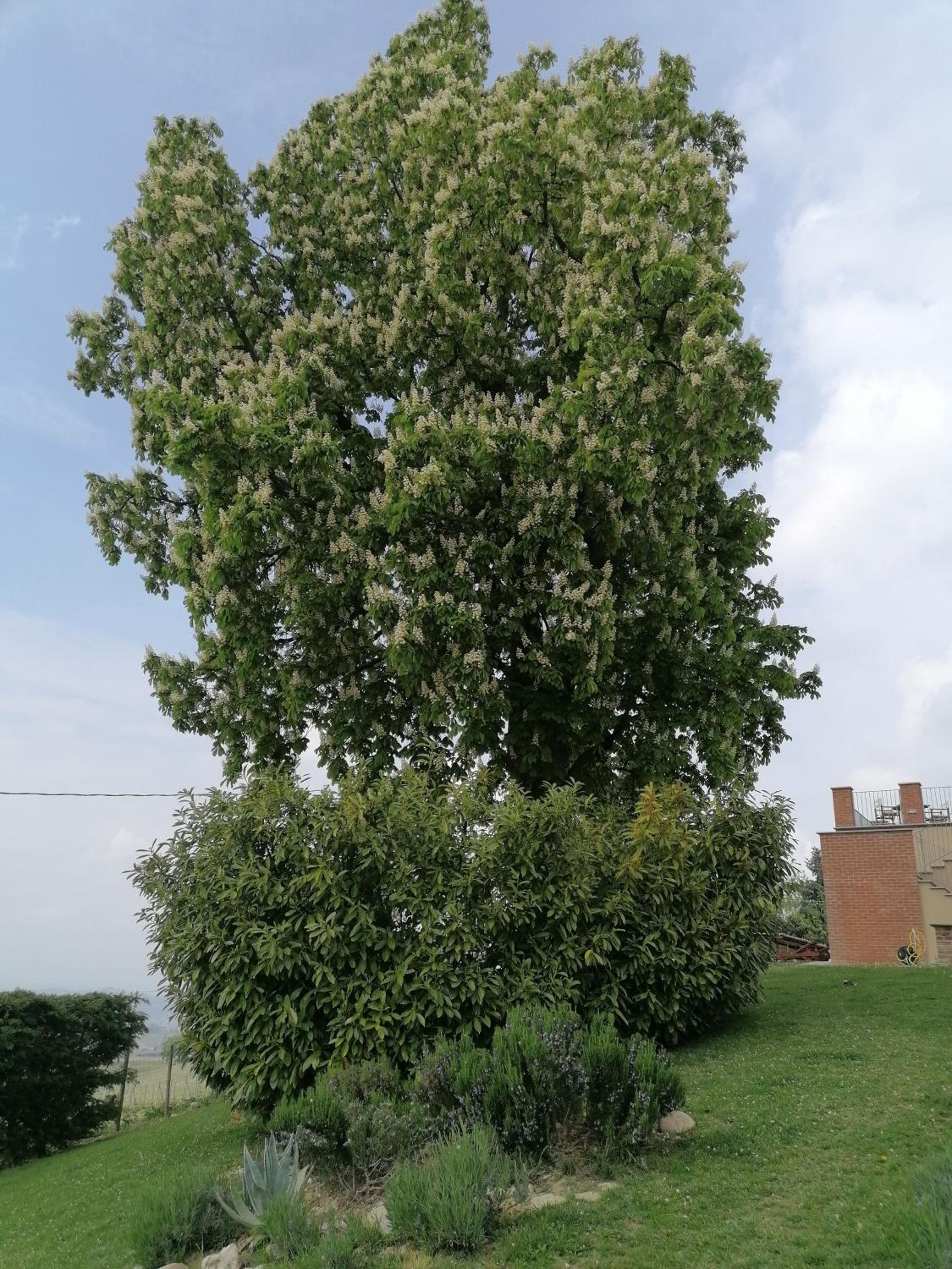 Casa Vacanze San Stefanetto