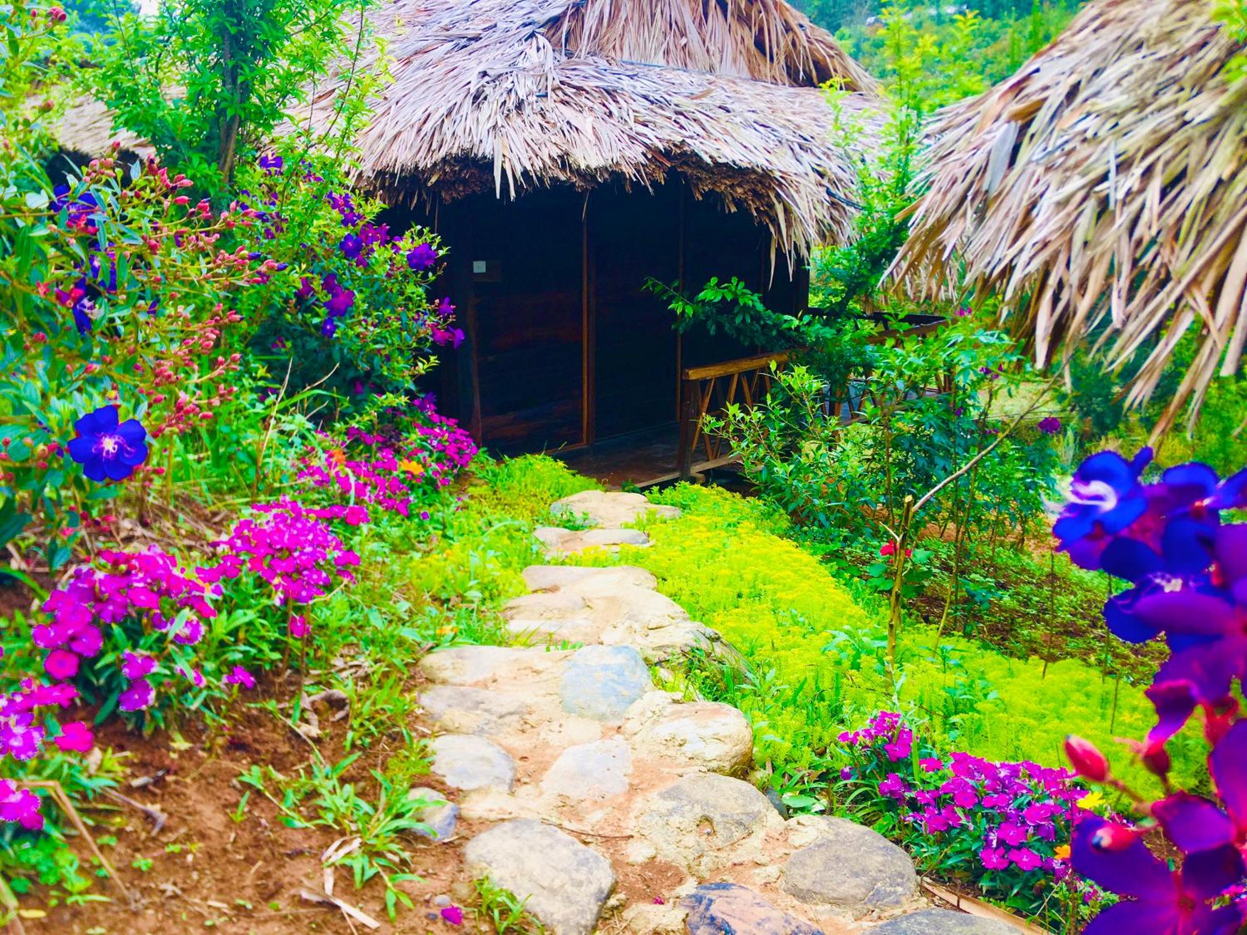 Hello Mu Cang Chai Homestay & Tours