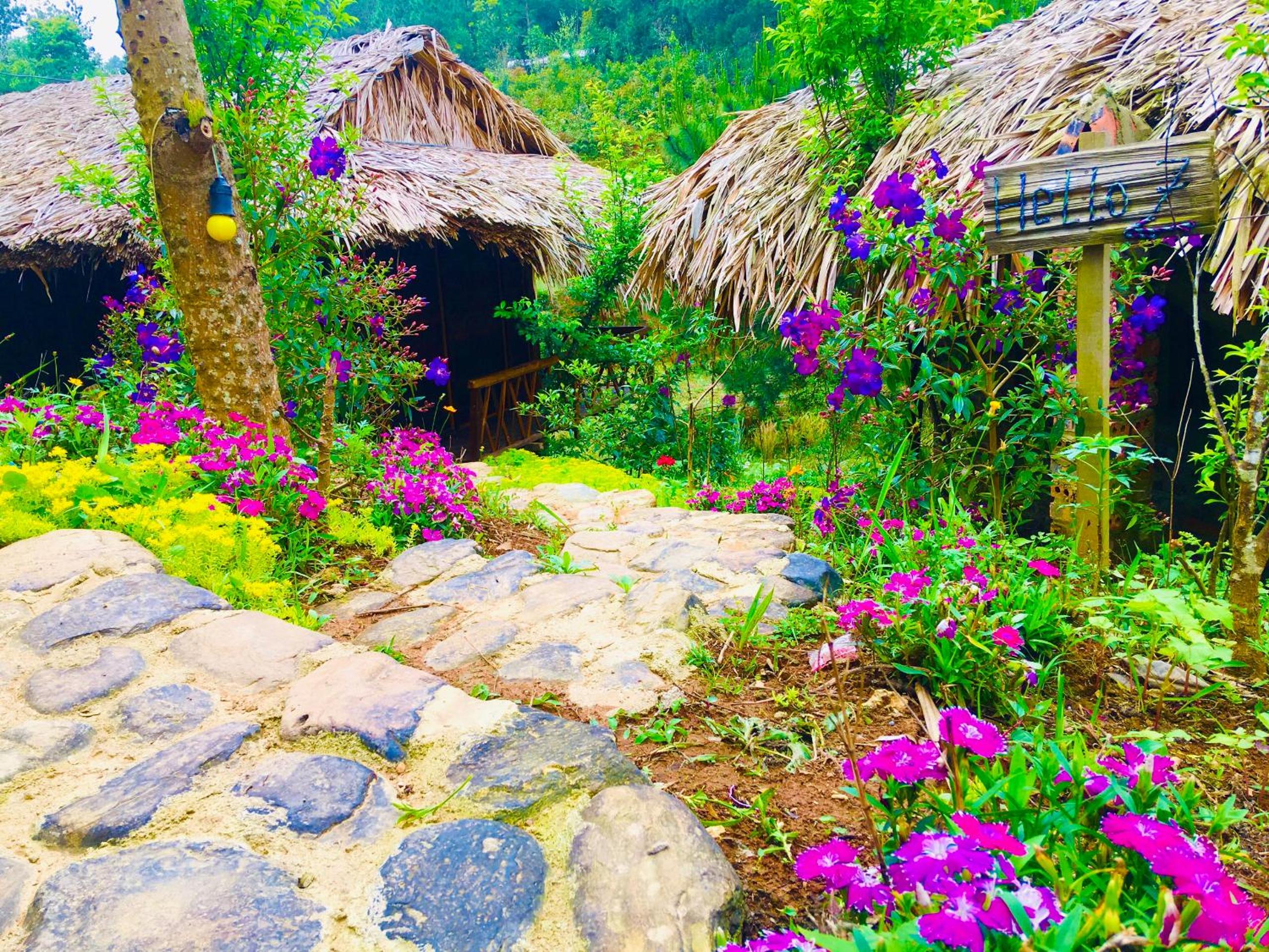 Hello Mu Cang Chai Homestay & Tours