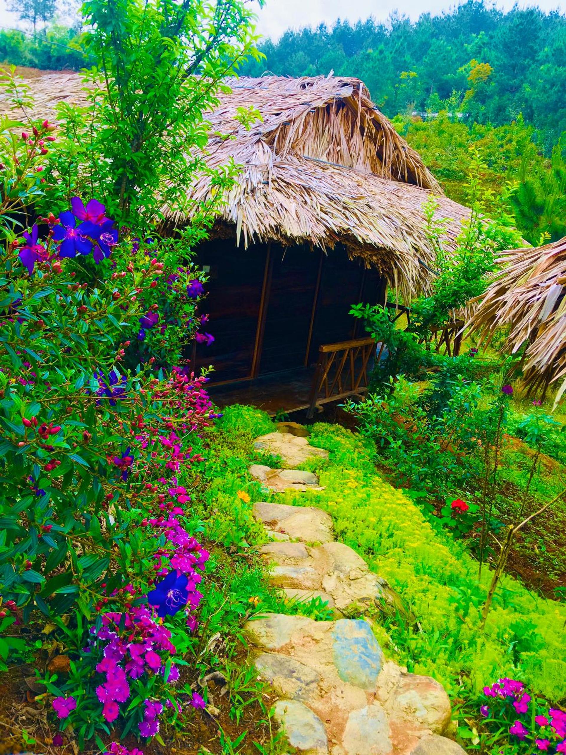 Hello Mu Cang Chai Homestay & Tours