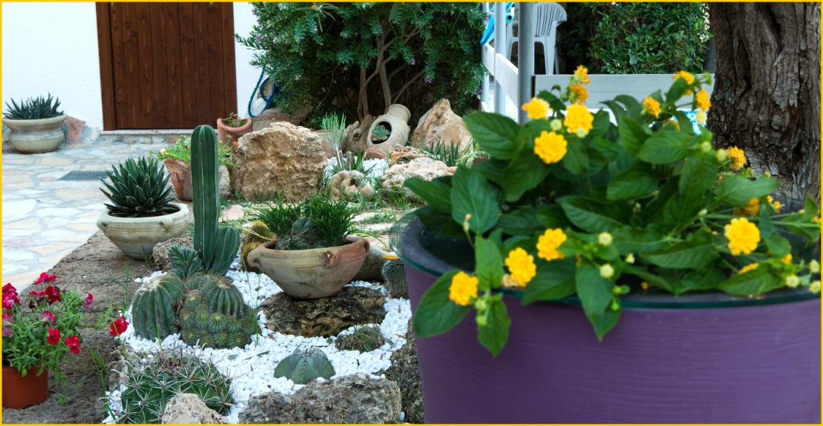 Photo 29